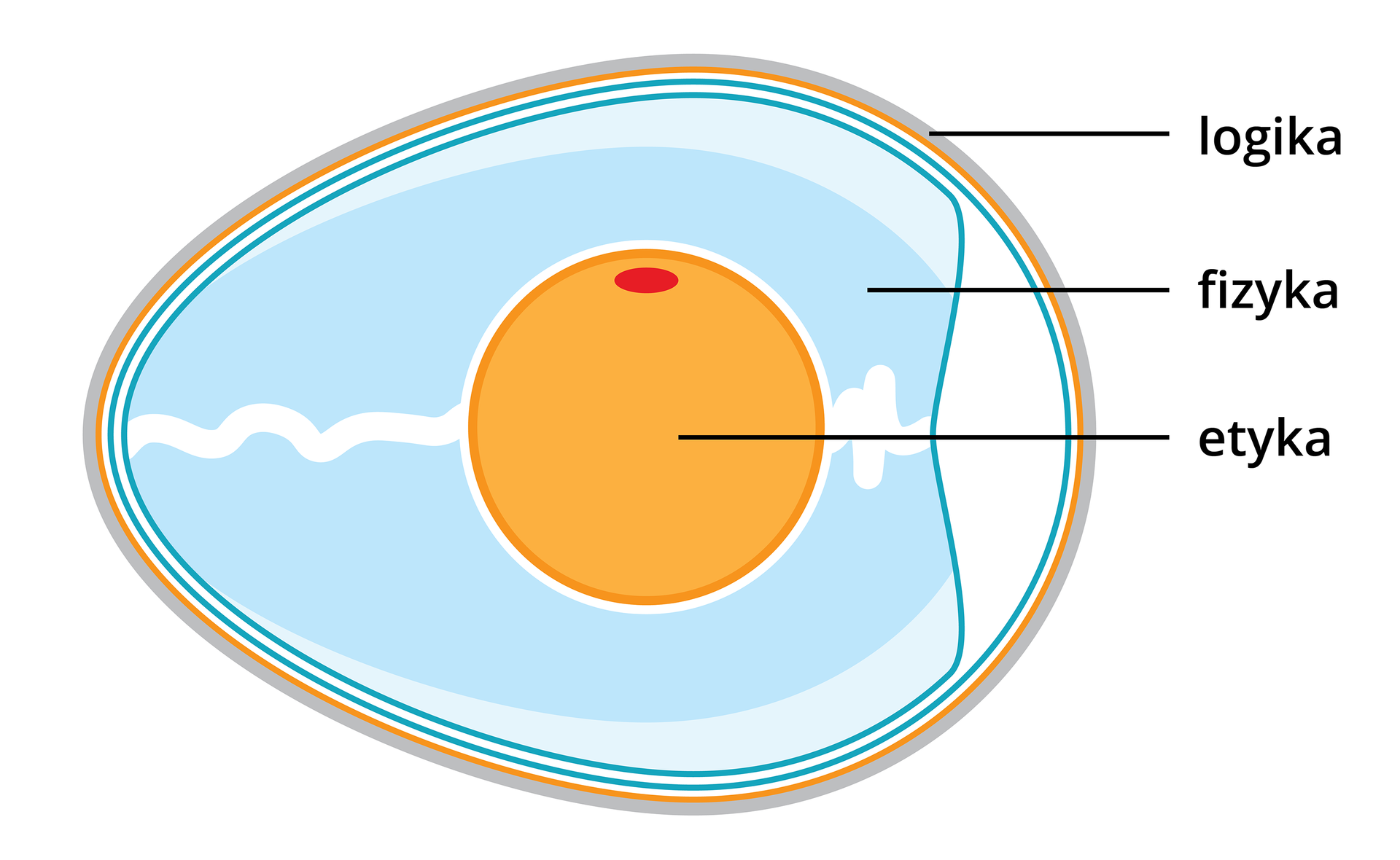 Rysunek przedstawia przekrój jaja ptasiego. Skorupka jaja określona jest pojęciem logiki. Białko jaja to etyka. Żółtko jaja to fizyka.