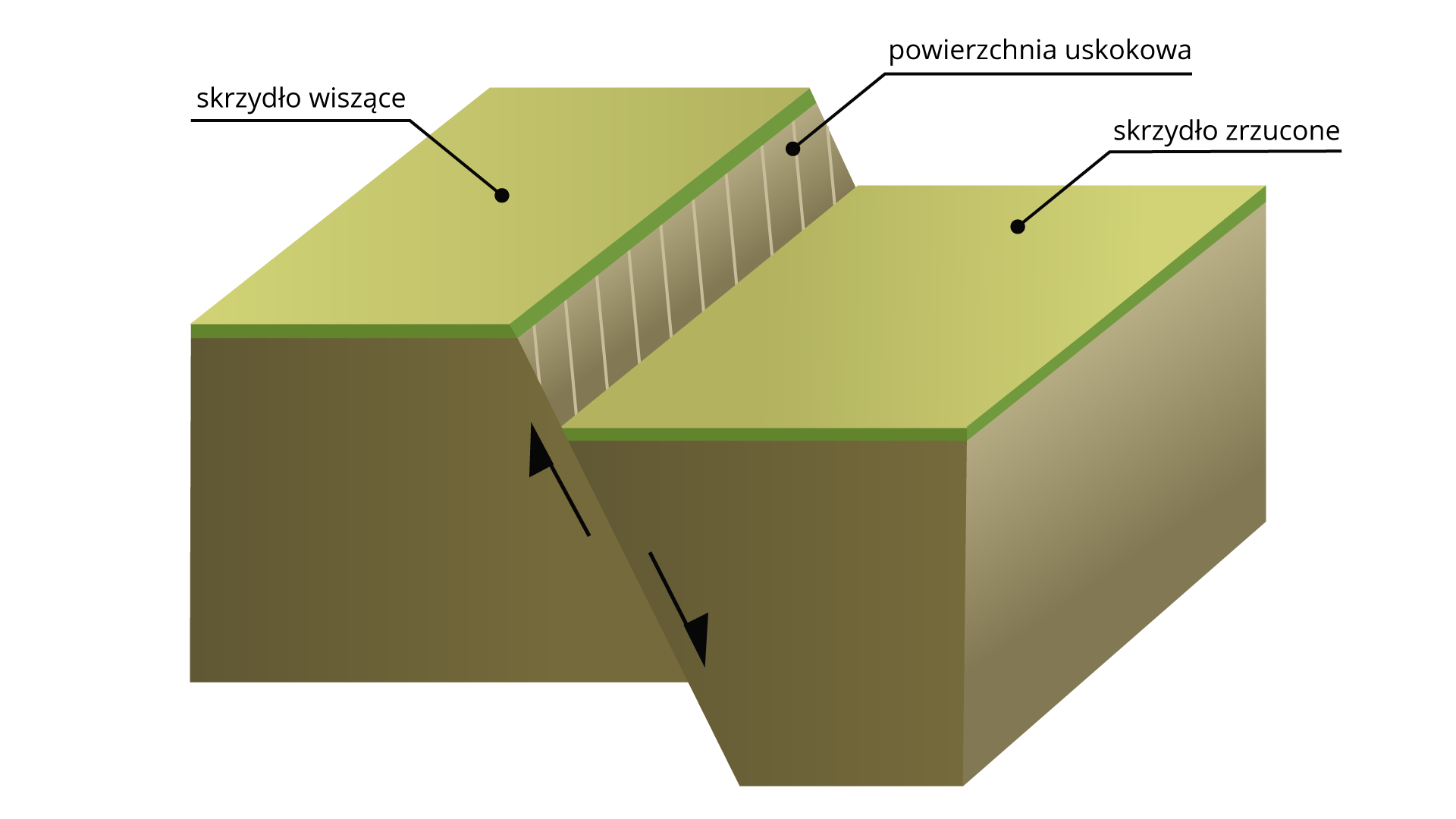 Schemat uskoku. Na schemacie są dwie powierzchnie stykające się ze sobą. Jedna jest położona wyżej względem drugiej. Położona wyżej to skrzydło wiszące, niżej skrzydło zrzucone. Powierzchnia nachylona pod pewnym kątem pomiędzy skrzydłami to powierzchnia uskokowa.  