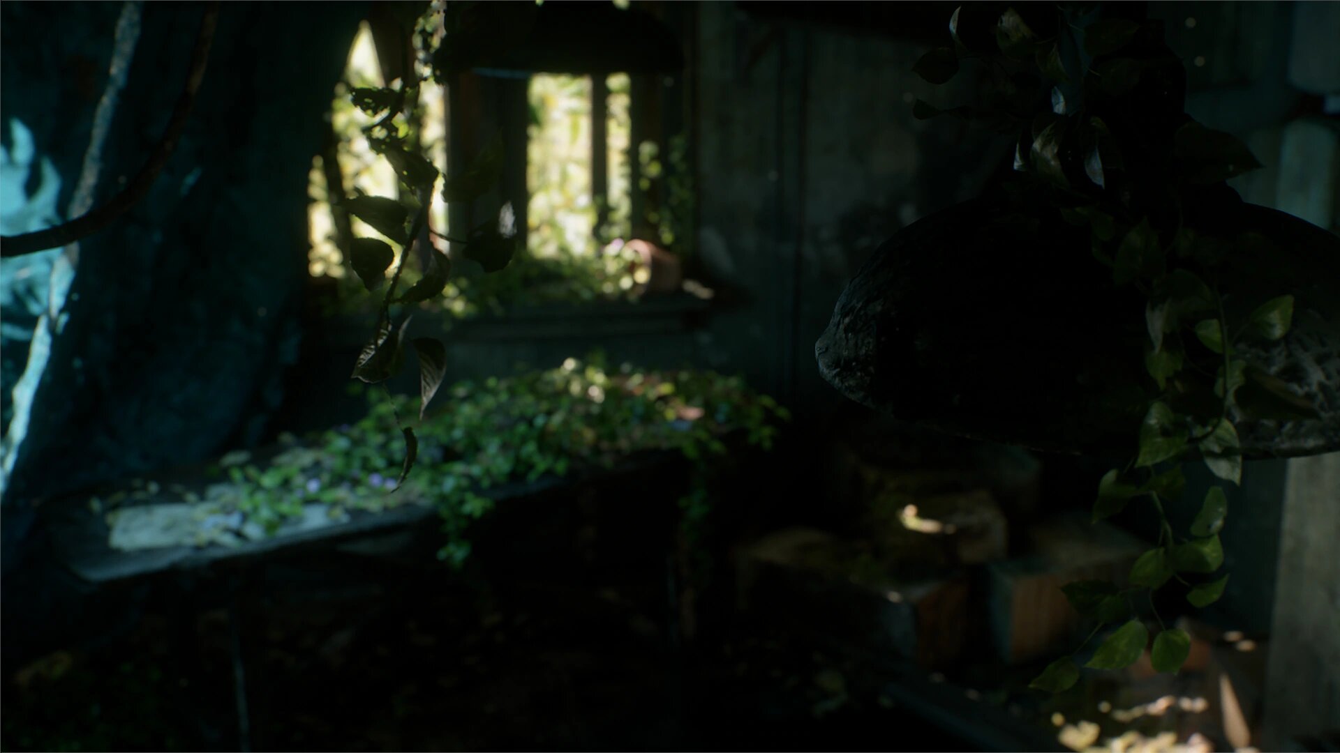 Grafika przedstawia zbliżenie na zwisające z sufitu pnącza w rozpadającym się domu z poprzedniego kadru. W tle widoczna jest podłoga, na której leży gruz pokryty bluszczem, a dalej znajduje się okno, za którym rosną drzewa. Grafika jest bardzo realistyczna, wygląda jak zdjęcie.