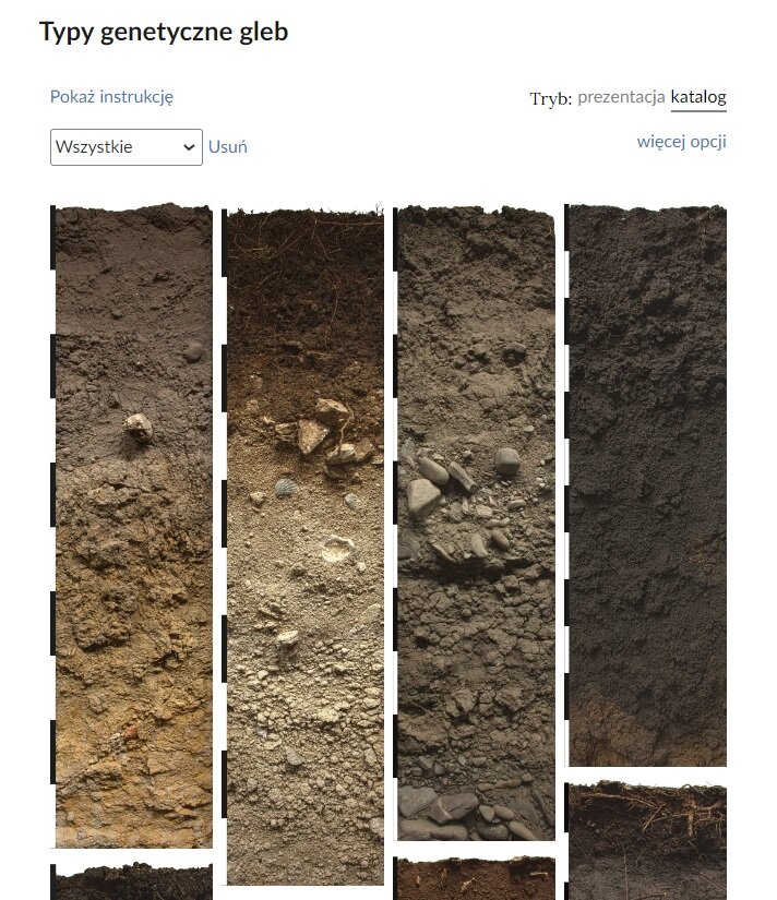 Przykładowy widok trybu katalogów w galerii interaktywnej: Typy genetyczne gleb. W lewym górnym rogu znajduje się wyszukiwarka katalogów. W prawym górnym rogu znajduje się opcja przełączania trybu z katalogu na prezentację. Poniżej widoczne są grafiki przedstawiające różne typy gleby.