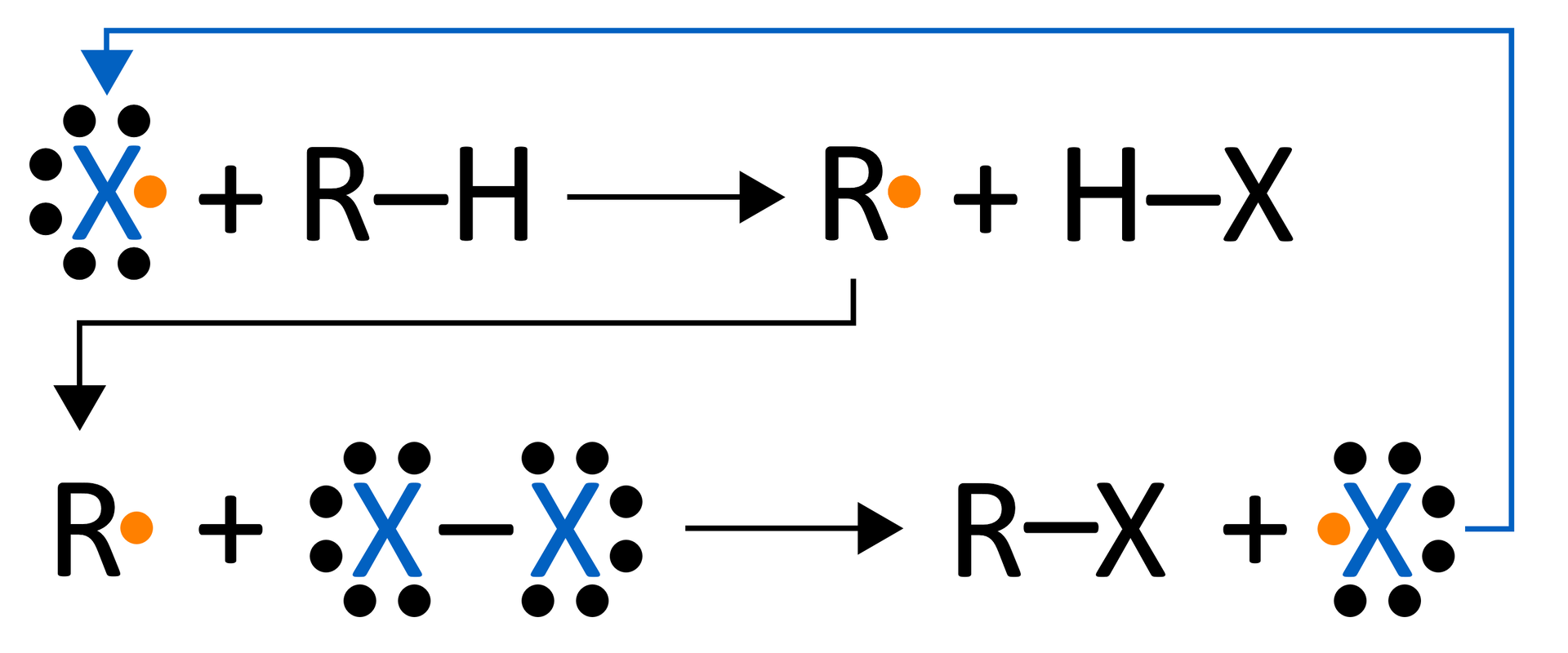 Ilustracja przedstawia mechanizm rozwijania łańcucha. Pierwsze równanie: Rodnik X (otoczony siedmioma kropkami, w tym jedną czerwoną, pozostałe są czarne) dodać R wiązanie pojedyncze H, strzałka w prawo, powstaje rodnik R z jedną pomarańczową kropką dodać H wiązanie pojedyncze X. Drugie równanie: R z jedną pomarańczową kropką dodać X wiązanie pojedyncze X. Przy każdym znaku X jest po sześć czarnych kropek. Strzałka w prawo R wiązanie pojedyncze H dodać X z trzema parami czarnych kropkę i jedną kropką pomarańczową. W pierwszym wiązaniu od produktu w postaci R z pomarańczową kropką prowadzi strzałka do drugiego równania, do substratu R z pomarańczową kropką. W drugim równaniu: od produktu  X z siedmioma kropkami strzałka do substratu X z siedmioma kropkami w pierwszym równaniu.  