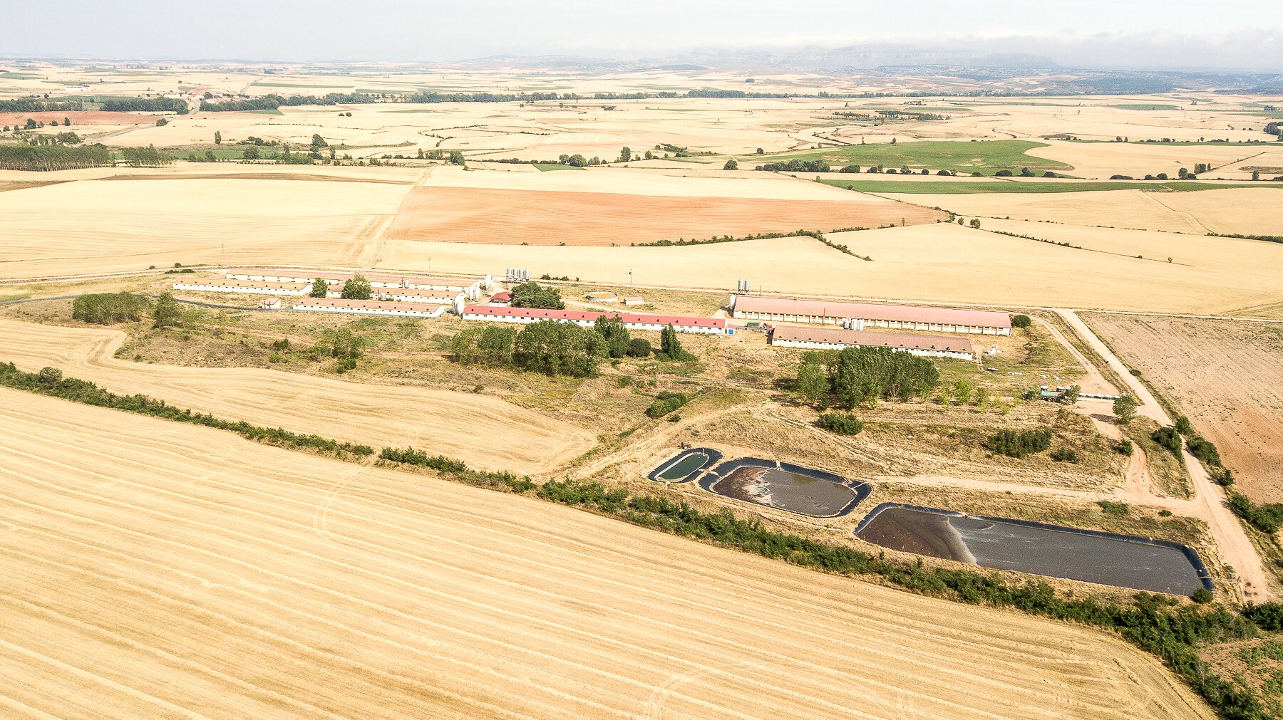 Zdjęcie przedstawia rolnictwo intensywne z lotu ptaka. Na środku znajdują się długie budynki. Wokół nich są zaorane pola oddzielone drzewami oraz stawy.