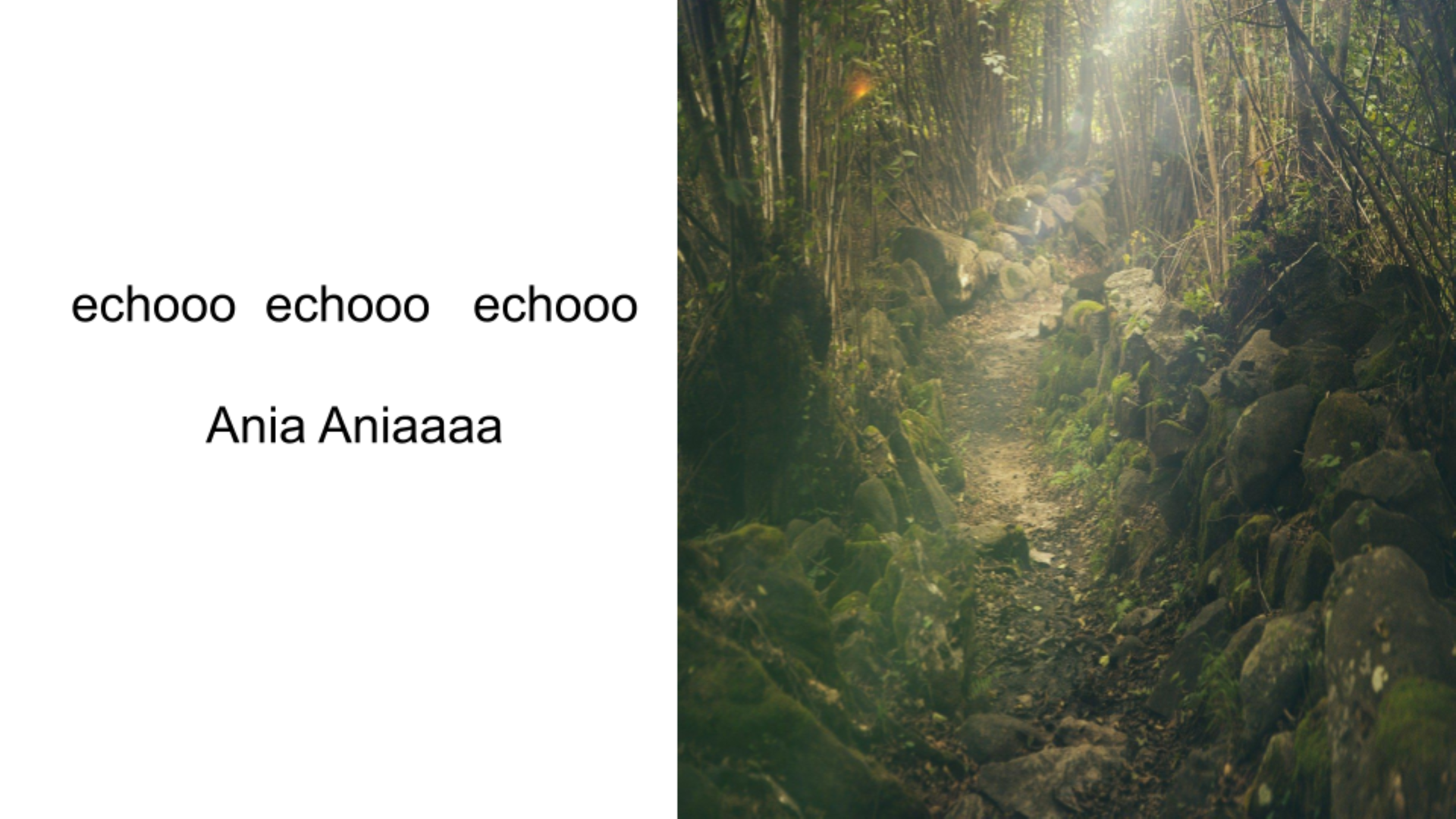 Slajd przedstawia kolorową fotografię z prawej strony, która ukazuje leśną ścieżkę otoczoną kamieniami porośniętymi mchem. Po lewej stronie slajdu na białym tle zamieszczony jest napis: echooo echooo echooo Ania Aniaaaa.