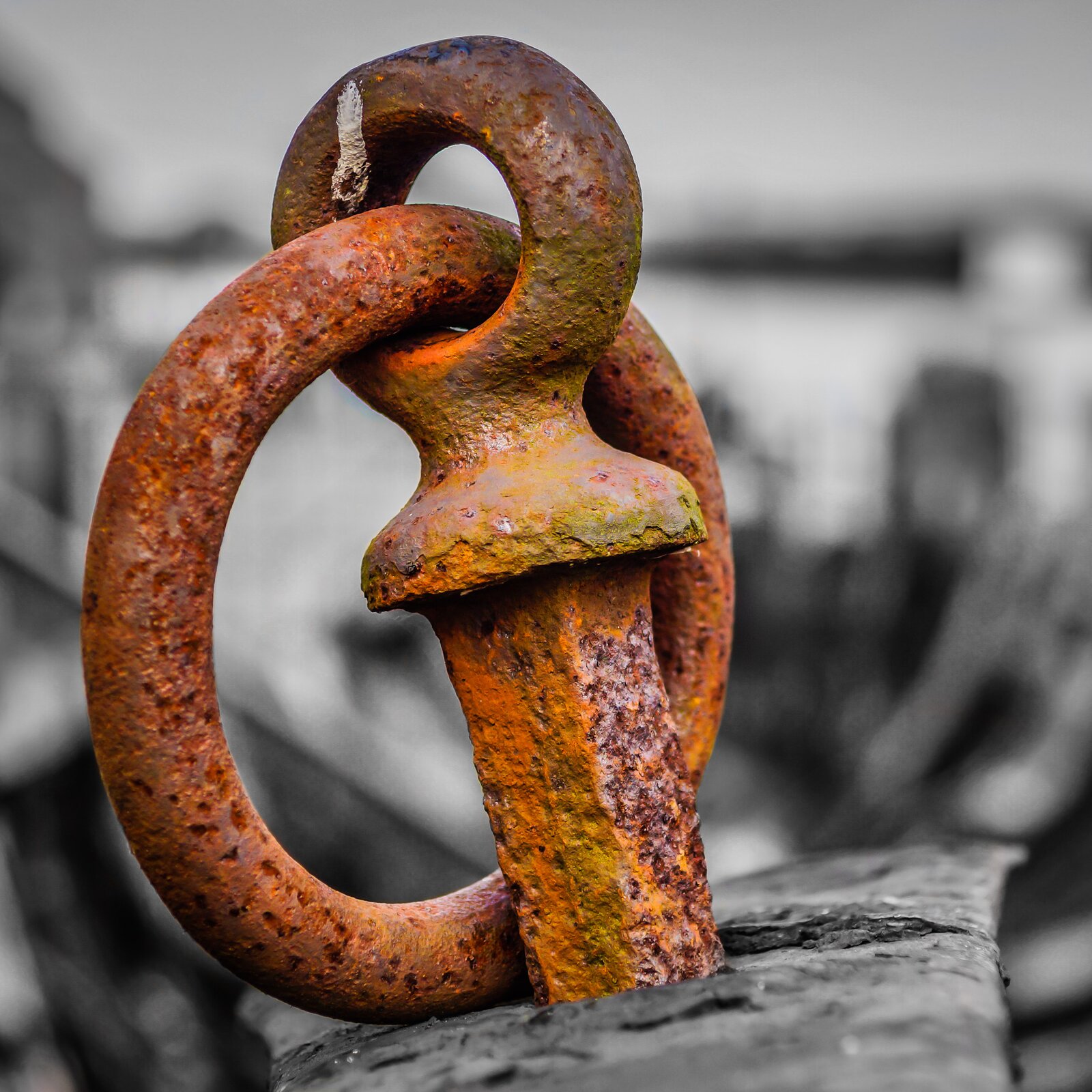 Zdjęcie przedstawia zardzewiały metalowy element wbity w pomost lub molo. Jest on zakończony okrągłą pętlą, przez którą przełożone jest metalowe koło, również pokryte rdzą.