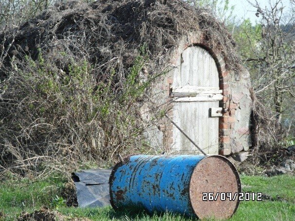 Fotografia prezentuje wejście do murowanej piwnicy, wokół krzewy. Przed wejściem metalowa, zardzewiała beczka. 