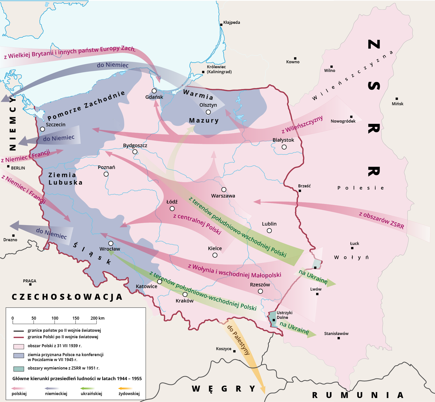 Mapa Polski przedstawiająca migracje wewnętrzne i zewnętrzne po zakończeniu drugiej wojny światowej. 
W lewym dolnym rogu legenda. U góry legendy podziałka liniowa, na której jeden odcinek to pięćdziesiąt kilometrów. 
Czarnymi liniami oznaczono na mapie granice państw po drugiej wojnie światowej. 
Bordową linią oznaczono granice Polski po drugiej wojnie światowej. 
Jasnoróżowym kolorem oznaczono obszar Polski z trzydziestego pierwszego sierpnia tysiąc dziewięćset trzydziestego dziewiątego roku. 
Fioletowym kolorem oznaczono ziemię przyznaną Polsce na konferencji w Poczdamie w lipcu tysiąc dziewięćset czterdziestego piątego roku. 
Kolorem ciemnozielonym oznaczono obszary wymienione z ZSRR w tysiąc dziewięćset pięćdziesiątym pierwszym roku. 
Strzałkami o różnych kolorach oznaczono główne kierunki przesiedleń ludności w latach tysiąc dziewięćset czterdzieści cztery – tysiąc dziewięćset pięćdziesiąt pięć. 
Kolorem różowym oznaczono przesiedlenia ludności polskiej, kolorem fioletowym niemieckiej, kolorem zielonym ukraińskiej, kolorem żółtym żydowskiej. Ludność Polską przesiedlano z Wielkiej Brytanii i innych państw Europy Zachodniej w kierunku Gdańska; z Wileńszczyzny na Pomorze Zachodnie, Warmię i Mazury, z obszarów ZSRR pod Warszawę, z centralnej Polski na północ i zachód kraju, z Wołynia i wschodniej Małopolski na Śląsk, z Niemiec i Francji na Pomorze Zachodnie, Ziemię Lubuską i Śląsk. Ludność niemiecką przesiedlano z Warmii i Mazur, Pomorza Zachodniego, Ziemi Lubuskiej i Śląska do Niemiec. Ludność ukraińską przesiedlano z południowo‑wschodniej granicy na Ukrainę oraz z terenów południowo‑wschodniej Polski na Śląsk oraz na Warmię i Mazury. Ludność żydowską z terenów południowej Polski przesiedalno do Palestyny. 