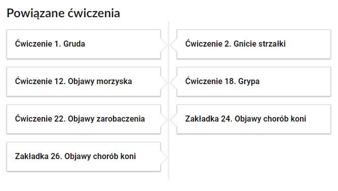 Grafika przedstawia widok przykładowego przycisku ćwiczeń powiązanych z danym multimedium. Na samej górze umieszczony jest nagłówek: Powiązane ćwiczenia. Pod nim znajduje się pionowa oś czasu. Składa się z siedmiu kafelków. Cztery umieszczone są po lewej stronie osi, natomiast trzy pozostałe po prawej. W kafelkach zamieszczona został informacja na temat numeru powiązanego ćwiczenia, a także jego tytułu. Pierwszy kafelek zawiera napis: Ćwiczenie 1. Gruda. Drugi kafelek zawiera napis: Ćwiczenie 2. Gnicie strzałki. Trzeci kafelek zawiera napis: Ćwiczenie 12. Objawy morzyska. Czwarty kafelek zawiera napis: Ćwiczenie 18. Grypa. Piąty kafelek zawiera napis: Ćwiczenie 22. Objawy zarobaczenia. Szósty kafelek zawiera napis: Ćwiczenie 24. Objawy chorób koni. Siódmy kafelek zawiera napis: Ćwiczenie 26. Objawy chorób koni. 