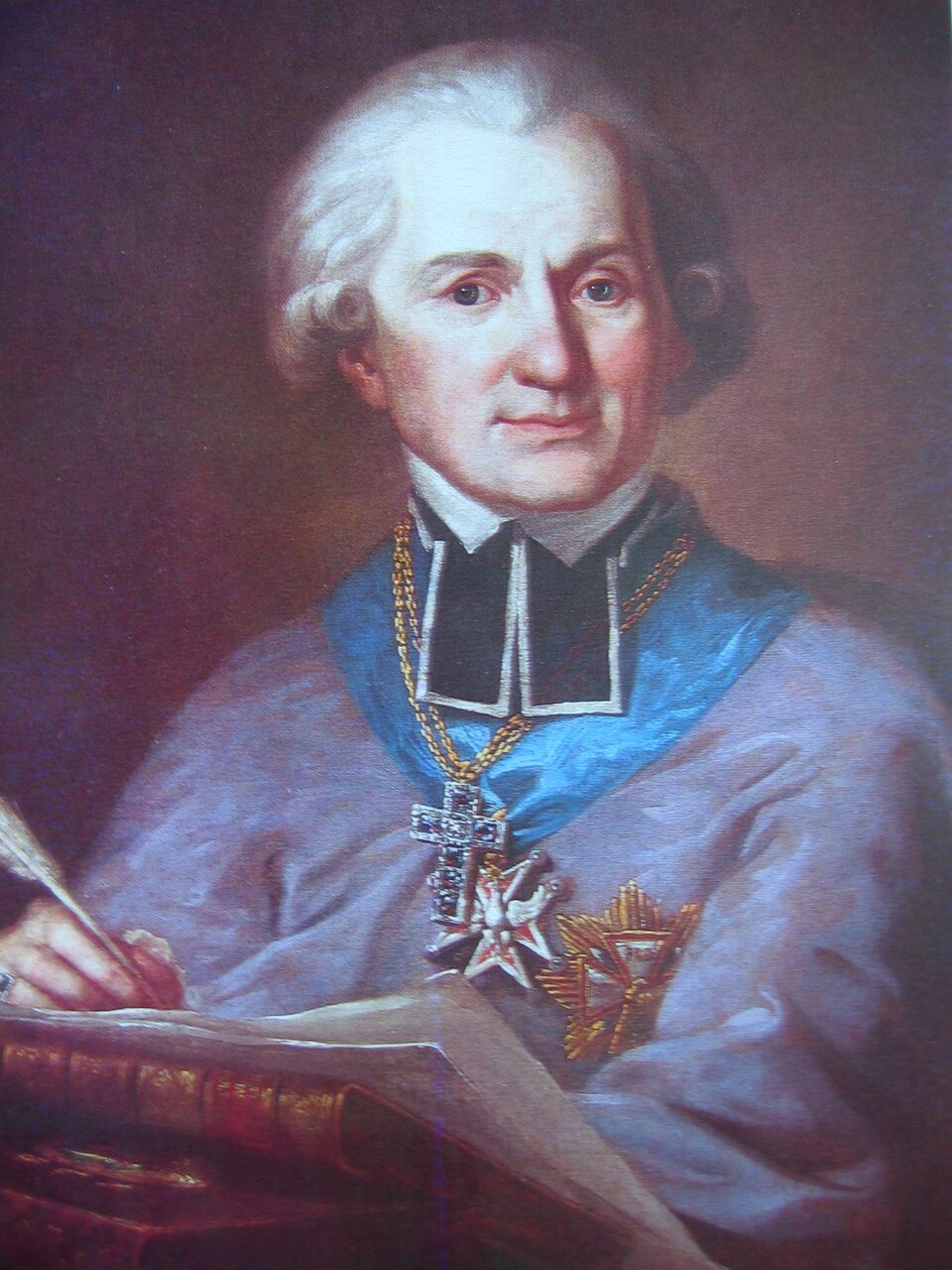 Portret przedstawia półpostać Adama Naruszewicza w jasnej peruce na głowie. Jest ubrany w białą koszulę i sutannę ozdobioną pod szyją pektorałem obszytym białymi lamówkami. Na piersi ma złoty order.  Na szyi zawieszony łańcuch z krzyżem i błękitną szarfę z orderem z białym orłem. W ręce z sygnetem na placu trzyma gęsie pióro. Przed mężczyzną znajdują się książki, na których opiera kartkę. Jego upudrowana twarz jest skierowana do widza. Wyraża zamyślenie. Jasna postać odcina się od ciemnego tła. 