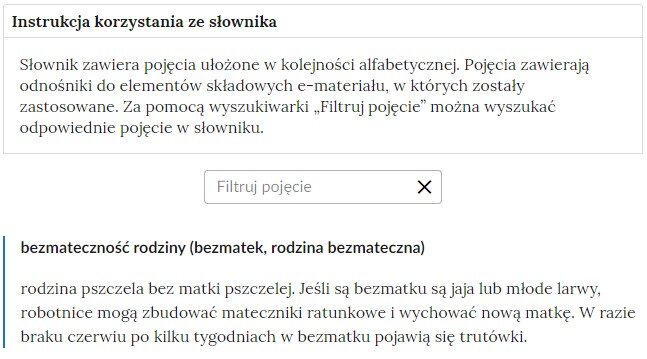 Grafika ilustrująca fragment słownika z częścią umożliwiającą filtrację pojęć. Na samej górze umieszczona jest instrukcja korzystania ze słownika. Zawarta jest w niej następująca informacja: „Słownik zawiera pojęcia ułożone w kolejności alfabetycznej. Pojęcia zawierają odnośniki do elementów składowych e‑materiału, w których zostały zastosowane. Za pomocą wyszukiwarki „Filtruj pojęcie” można wyszukać odpowiednie pojęcie w słowniku”. Pod instrukcją korzystania ze słownika umieszczone zostało pole w kształcie prostokąta. Wewnątrz znajduje się napis: filtruj pojęcie oraz umieszczony z boku przycisk w kształcie krzyżyka. Na samym dole znajduje się pierwsze pojęcie ze słownika. Dotyczy ono bezmateczności rodziny.