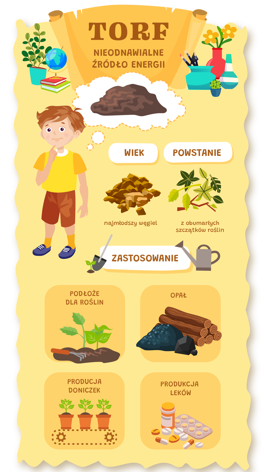 Tematem grafiki jest torf, który stanowi nieodnawialne źródło energii. Wskazuje na to napis, umiejscowiony na samej górze obrazka: TORF NIEODNAWIALNE ŹRÓDŁO ENERGII. Po jego lewej stronie znajduje się zielona roślina w niebieskiej doniczce, dwie książki leżące na sobie: zielona i czerwona, a także globus, który na nich stoi. Po prawej stronie napisu widoczny jest duży, czerwony wazon z dwoma pomarańczowymi kwiatami. Przed nim, po lewej stronie, stoi niebieski pojemnik, do którego włożone są pędzle, po prawej zaś jest biało‑niebieski wazon. Na samym przodzie znajduje się mała, granatowa doniczka, w której posadzony jest kaktus. Pod napisem TORF NIEODNAWIALNE ŹRÓDŁO ENERGII widnieje biała chmurka, w której widoczny jest brązowy element o nieregularnych kształtach, imitujący torf. 
W centralnej części grafiki znajdują się cztery elementy. Pierwszy, położony najbardziej na lewo, przedstawia postać chłopca – Franka. Ma on na sobie żółtą koszulkę, pomarańczowe spodenki, żółte skarpetki oraz granatowe buty. Drugi element, znajdujący się na prawo od chłopca, na wysokości jego ramion, to napis WIEK. Pod napisem jest grafika przedstawiająca brązowe, nieregularne kształty, imitujące węgiel. Pod grafiką umieszczono opis: najmłodszy węgiel. Trzeci element, położony najbardziej na prawo, to napis: POWSTANIE. Poniżej napisu znajdują się liście i gałęzie roślin oraz podpis: z obumarłych szczątków roślin. Czwarty element, znajdujący się pod elementami związanymi z WIEKIEM i POWSTAWANIEM, przedstawia napis: ZASTOSOWANIE. Po lewej stronie białej ramki, w której umieszczony jest napis,  jest niewielka zielona roślina oraz czarna łopata z szarym trzonkiem. Po prawej stronie napisu zaś znajduje się jasnobrązowa konewka. 
Poniżej znajdują się cztery ciemnożółte kwadraty o zaokrąglonych rogach. W lewym kwadracie na górze widoczny jest napis: PODŁOŻE DLA ROŚLIN, pod nim zaś jest grafika przedstawiająca ziemię, niewielkie grabie z pomarańczową rączką oraz dwie rośliny rosnące w tej ziemi. Drugi górny kwadrat, znajdujący się z prawej strony, zawiera napis: OPAŁ, a także grafikę węgla oraz 6 belek drewna, które są poniżej hasła. Dolny kwadrat z lewej strony przedstawia trzy doniczki z zielonymi roślinami obok siebie, które ustawione są na taśmie produkcyjnej. Nad nimi widnieje napis: PRODUKCJA DONICZEK. Ostatni kwadrat, znajdujący się na dole po prawej stronie ukazuje pomarańczowy pojemnik na leki z białą etykietą, opakowanie jasnopomarańczowych tabletek, a także osiem tabletek o różnych kształtach oraz białej i pomarańczowej kolorystyce. Nad lekami znajduje się napis: PRODUKCJA LEKÓW. Wszystkie cztery kafelki odnoszą się do napisu znajdującego się powyżej nich o treści: ZASTOSOWANIE.