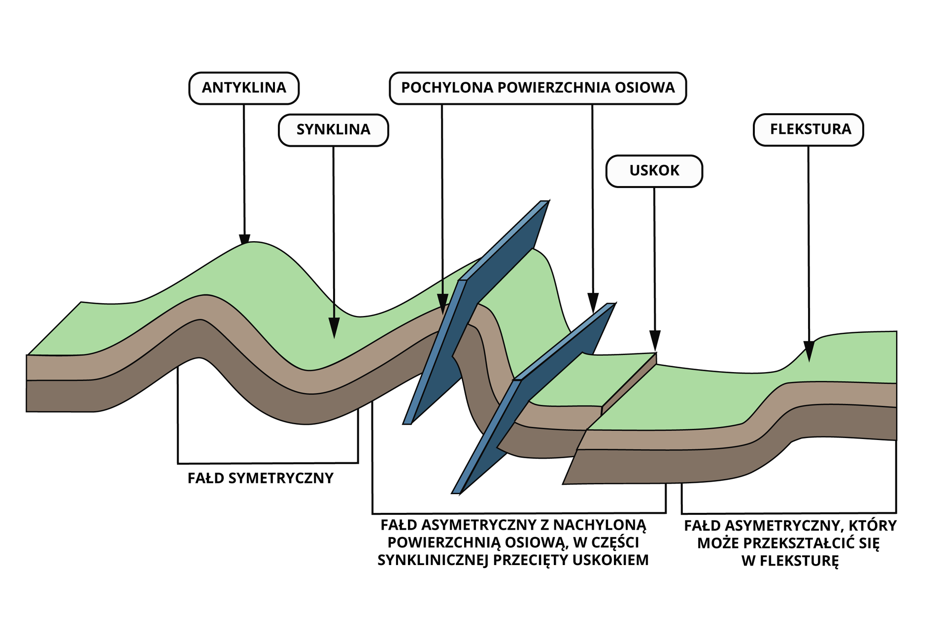 Na schemacie przedstawiono rodzaje fałdów z wypukłą antykliną i wklęsłą synkliną. Wyróżniono fałd symetryczny i asymetryczny. Fałd symetryczny występuje w przypadku gdy powierzchnia osiowa antykliny i synkliny jest pionowa. Obok symetrycznego fałdu pokazano fałd o pochylonej powierzchni osiowej. To fałd asymetryczny z nachyloną powierzchnią osiową, w części synklinicznej jest przecięty uskokiem. Poniżej fałdu asymetrycznego na dole zaznaczono uskok. Poniżej uskoku jest płaski teren, który następnie nieznacznie się wznosi. To fałd asymetryczny, który może się przekształcić w fleksturę.