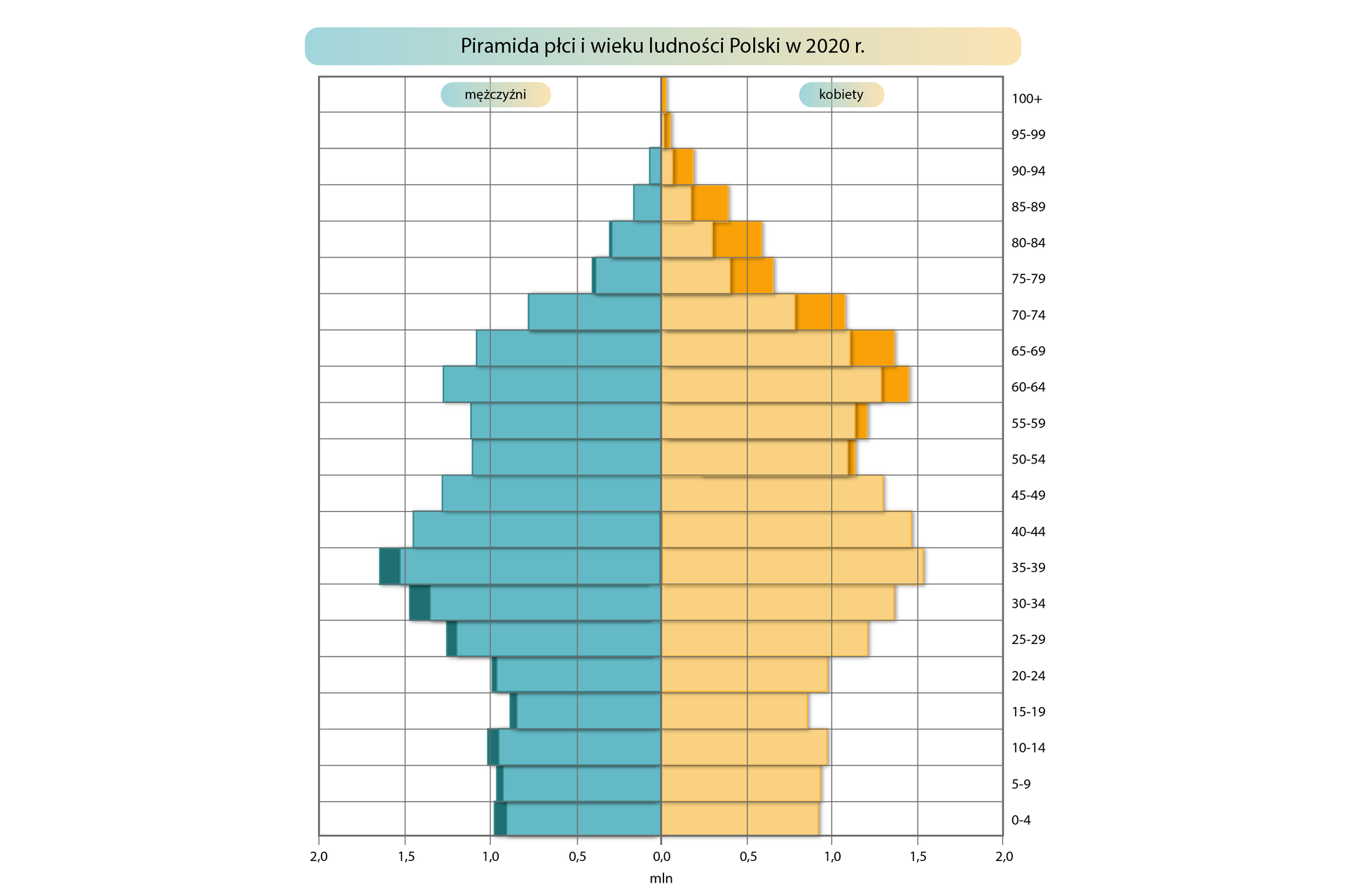 Piramida płci i wieku jest rozrysowana na siatce. Dolna pozioma oś oznacza liczbę ludności w procentach, od 0 w centralnym punkcie rośnie co 1% w lewą i prawą stronę do 7 procent. Oś pionowa oznaczona po prawej stronie określa grupy wiekowe: 0‑4, 5‑9, 10‑14, 15‑19, 20‑24, 25‑29, 30‑34, 35‑39, 40‑44, 45‑49, 50‑54, 55‑59, 60‑64, 65‑69, 70‑74, 75‑79, 80‑84, 85‑89, 90‑94, 95‑99, 100+. Piramida ma dwa kolory. Po lewej stronie wartości oznaczone są kolorem niebieskim dane mężczyzn, a po prawej – żółtym dane dla kobiet. Kolorem ciemnożółtym i ciemnoniebieskim oznaczone są różnice w danych dotyczących płci. Dolną część piramidy (oznaczającą najmłodsze grupy wiekowe) określa się jako podstawę, a górną (oznaczającą grupy najstarsze) - wierzchołek. W Polsce w 2020 roku najwięcej było osób w wieku produkcyjnym od 20 do 64 roku życia z niewielką przewagą mężczyzn. W wieku poprodukcyjnym widoczna jest znacząca przewaga kobiet (różnica nawet 1%). W przedziale wiekowym 35‑39 na ciemnoniebieskim polu znajduje się czarna kropka połączona kreską z napisem w czarnej ramce „Nadwyżka mężczyzn nad kobietami”. W przedziale wiekowym 80‑84 na ciemnożółtym polu znajduje się czarna kropka połączona kreską z napisem w czarnej ramce „Nadwyżka kobiet nad mężczyznami”.