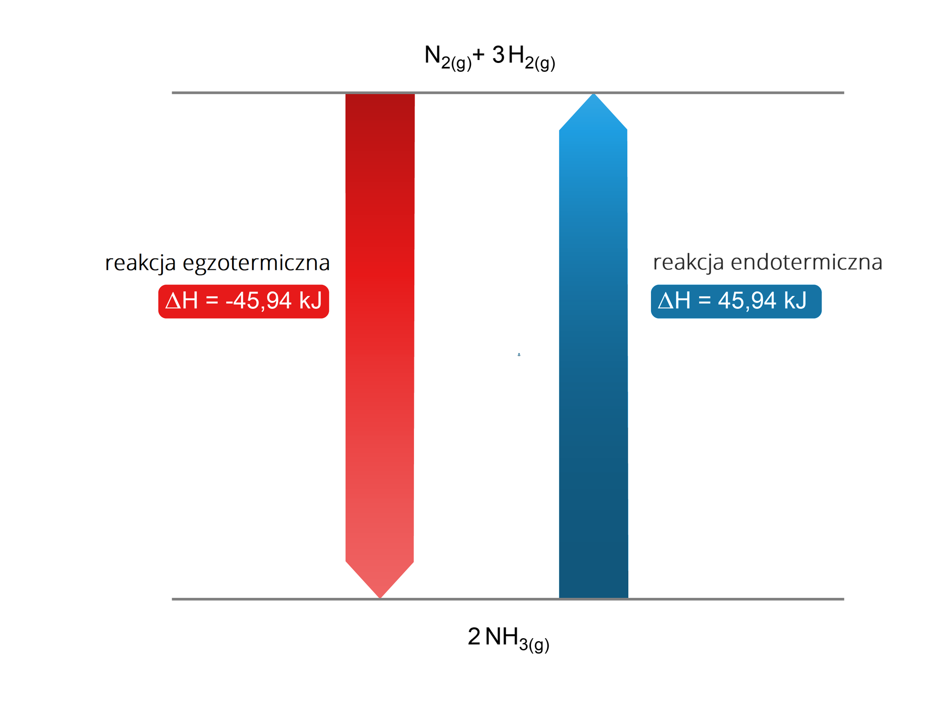 Ilustracja przedstawiająca schemat zmiany entalpii reakcji syntezy i rozkładu amoniaku. W górnej części na poziomej linii zapisane substraty cząsteczka N2(g) dodać trzy cząsteczki H2(g). Czerwona strzałka w dół podpisana jako reakcja egzotermiczna, dla której ΔH=-45,94 kilodżuli. Na dole schematu pozioma linia na niej produkty, czyli dwie cząsteczki NH3g. Od nich poprowadzona niebieska strzałka w górę, obok której zapis reakcja endotermiczna oraz jej entalpia ΔH=45,94 kilodżula.