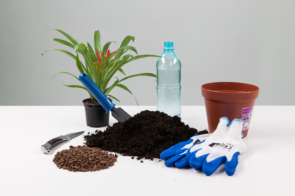 Fotografia przedstawia przybory potrzebne do przesadzania rośliny: żwir, ziemia, łopatka, nóż, rękawice, nowa doniczka, woda w butelce.