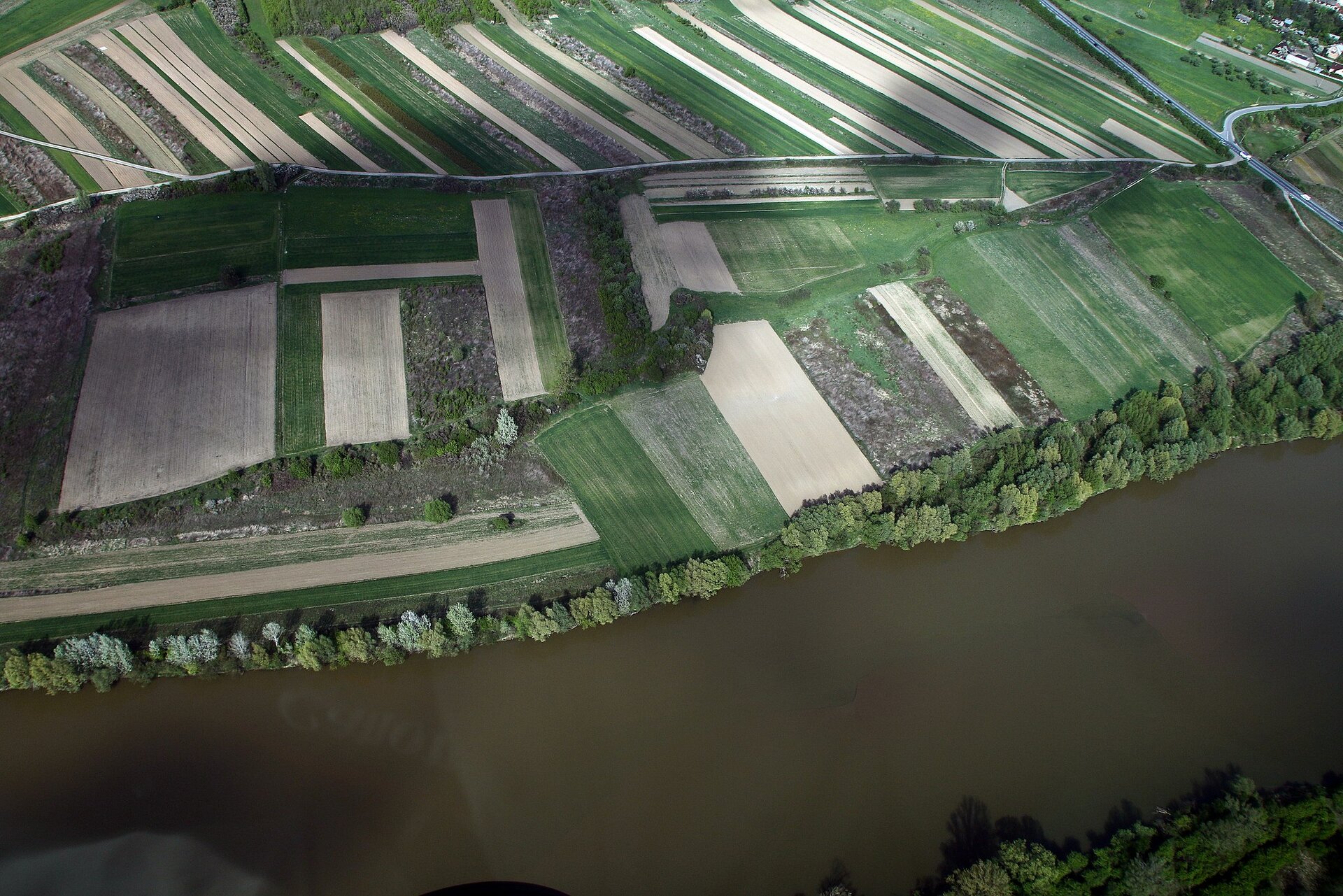 Fotografia lotnicza przedstawiająca liczne, niewielkie, podłużne pola uprawne położone nad rzeką. Wzdłuż brzegu linia drzew.