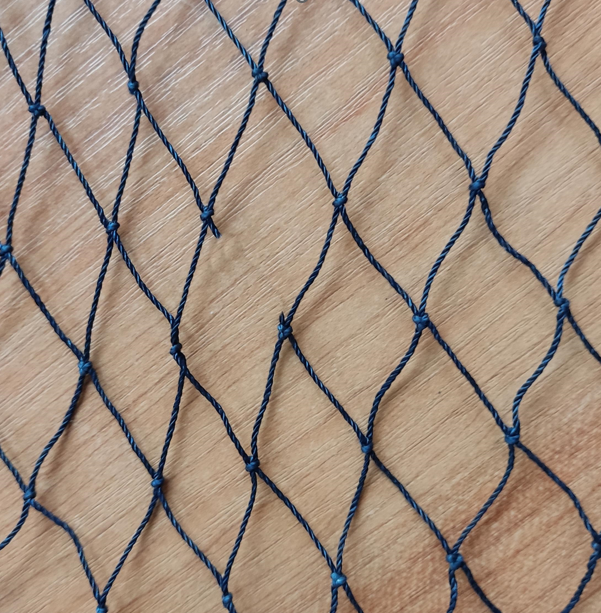 Zdjęcie przedstawia szklicę, czyli przerwanie nici jednego z boków oka.