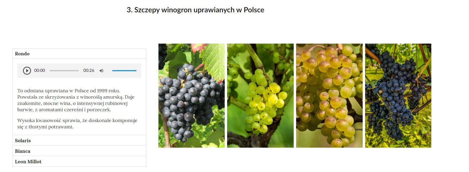 Grafika przedstawia widok galerii zdjęć z zdjęciami umieszczonymi po prawej stronie i treścią przypisaną do galerii po lewej stronie. 