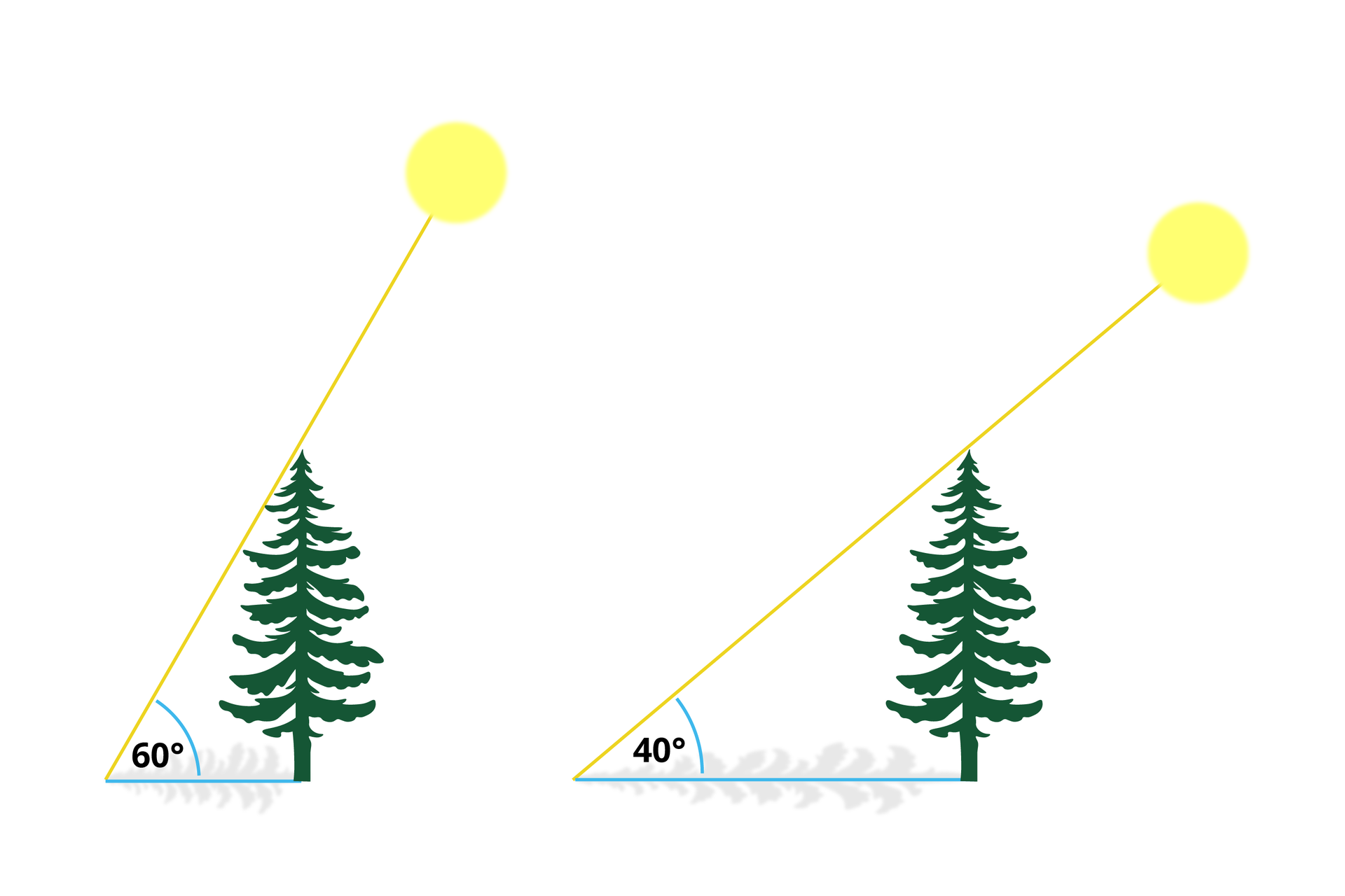 Ilustracja prezentuje dwa drzewa iglaste, które są zobrazowane jako przyprostokątna trójkąta, który tworzy drzewo, cień i kąt padania promieni słonecznych, który symbolizuje linia wychodząca od słońca. Na pierwszym obrazku kąt pomiędzy cieniem a linią promieni słonecznych wynosi 60º a na drugim 40º.
