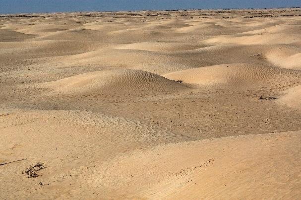 Na zdjęciu wydmy na pustyni piaszczystej, brak roślinności. Płaski i bardzo rozległy teren.