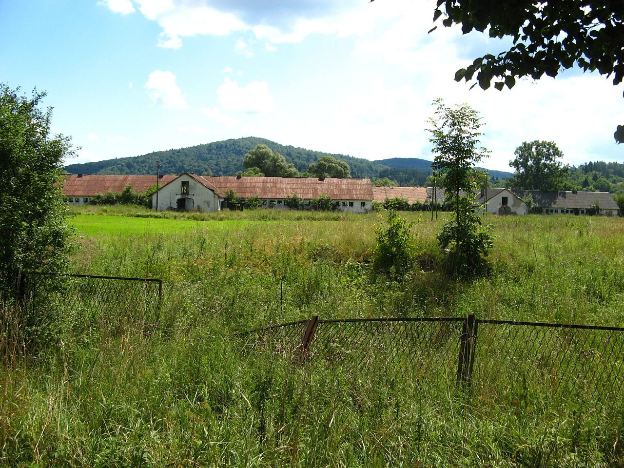 Zdjęcie przedstawia widok na PGR. Na pierwszym planie znajduje się przewrócone druciane ogrodzenie porośnięte naokoło trawą. W tle jest długi i niski budynek. Pomalowany jest na biało. Dach ma czerwony. Za nim znajduje się wzniesienie.
