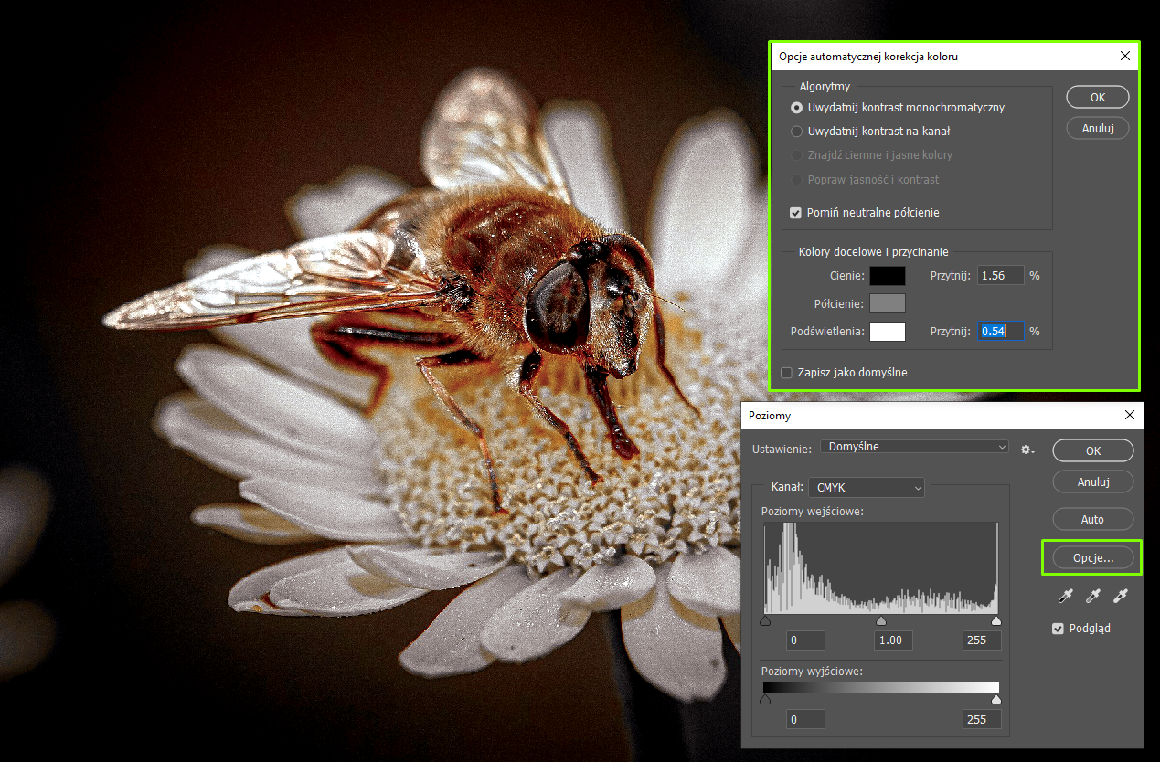 Zdjęcie przedstawia pszczołę siedzącą na białym kwiatku. Kolory są ciemniejsze, intensywne. Po prawej stronie są dwa okna dialogowe. Jedno ma nazwę: Opcje automatycznej korekcji koloru.  W Algorytmach zaznaczono: Uwydatnij kontrast monochromatyczny, Pomiń neutralne półcienie. Cienie: przytnij 1.56%, podświetlenia: przytnij 0.54%. W prawym dolnym rogu zdjęcia jest okno dialogowe o nazwie: Poziomy. W Ustawieniach wybrano: Domyślne. W Kanale jest CMYK. W Poziomach wejściowych jest histogram. Po lewej stronie ma wartość 0, na środku 1.00, po prawej stronie 255. W Poziomach wyjściowych jest poziomy pasek z odcieniami szarości. Po lewej stronie jest czarny, następnie w prawo coraz jaśniejszy aż do koloru białego. W przyciskach okna zaznaczono: Opcje.  