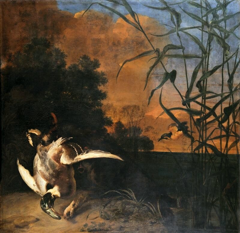 Kliknij, aby powiększyć. Obraz przedstawia polowanie na kaczki. Na pierwszym planie szara kaczka z głową skierowaną ku dołowi. W jej ciało, poniżej lewego skrzydła, wgryza się czarny pies, który stapia się z czarnym tłem krzewów za nim. W tle widoczne jest płaskie, czarne pole. Z lewej strony pola widoczne są drzewa, częściowo bez liści. Z prawej strony obrazu widoczne są wysokie krzewy, na których rosną długie, zielone liście. Liście rosną na łodygach w równych odległościach. Niebo jest błękitne, ale chmury na nim są w kolorze pomarańczowym. Na obrazie przeważa czerń i pomarańcz. Obraz przedstawia scenę dziejącą się przy zachodzącym słońcu.