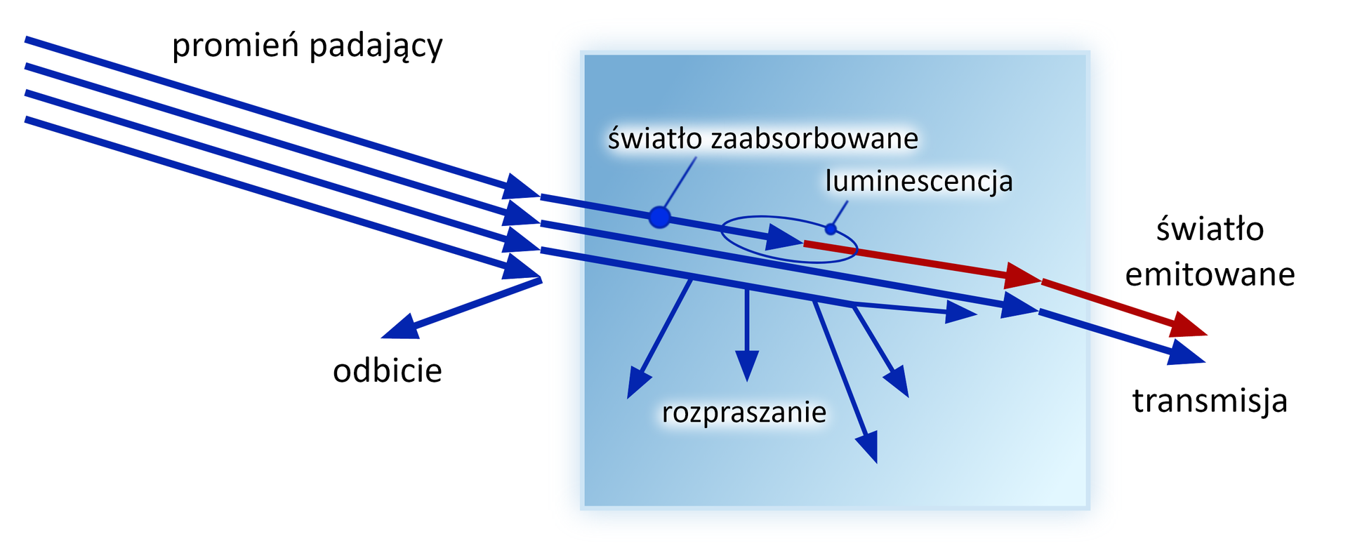 Ilustracja przedstawia procesy towarzyszące oddziaływaniu fali elektromagnetycznej z ciałem stałym. Na niebieski kwadrat padają promienie światłą w postaci czterech strzałek. Jedna z nich - dolna - ulega odbiciu od powierzchni kwadratu. Górna strzałka, przechodząc przez kwadrat, ulega zaabsorbowaniu, a następnie luminescencji. Wychodząc poza kwadrat z prawej strony strzałka się załamuje w dół - to światło emitowane. Druga od góry strzałka przechodzi przez kwadrat, załamuje się w dół po wyjściu - to transmisja. Przedostatnia strzałka, przechodząc przez kwadrat, ma liczne strzałki odchodzące w dół - to rozpraszanie. Strzałka nie wychodzi z prawej strony poza kwadrat. 