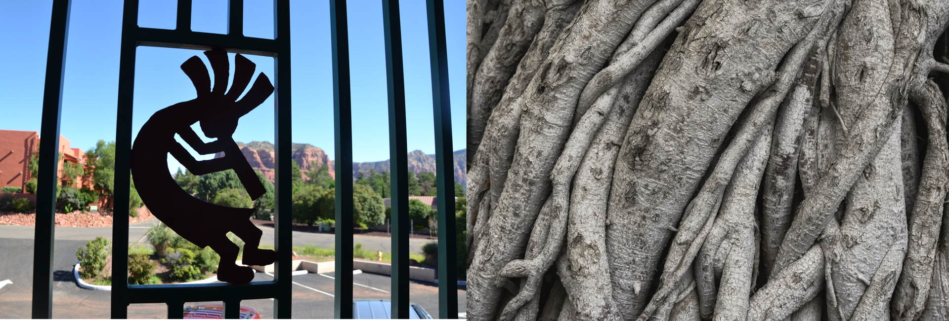 Ilustracja składa się w dwóch fotografii połączonych poziomo. Na fotografii z lewej znajduje się daleki widok na góry. Zdjęcie zostało zrobione przez kraty balustrady balkonu w słoneczny dzień na fotografii z prawej znajdują się grube korzenie drzewa oraz splecione wokół nich mniejsze, młodsze. Korzenie są szare obejmują całą fotografię. Natura stworzyła różnorodne zestawienia, korzystając z korzeni drzew.
