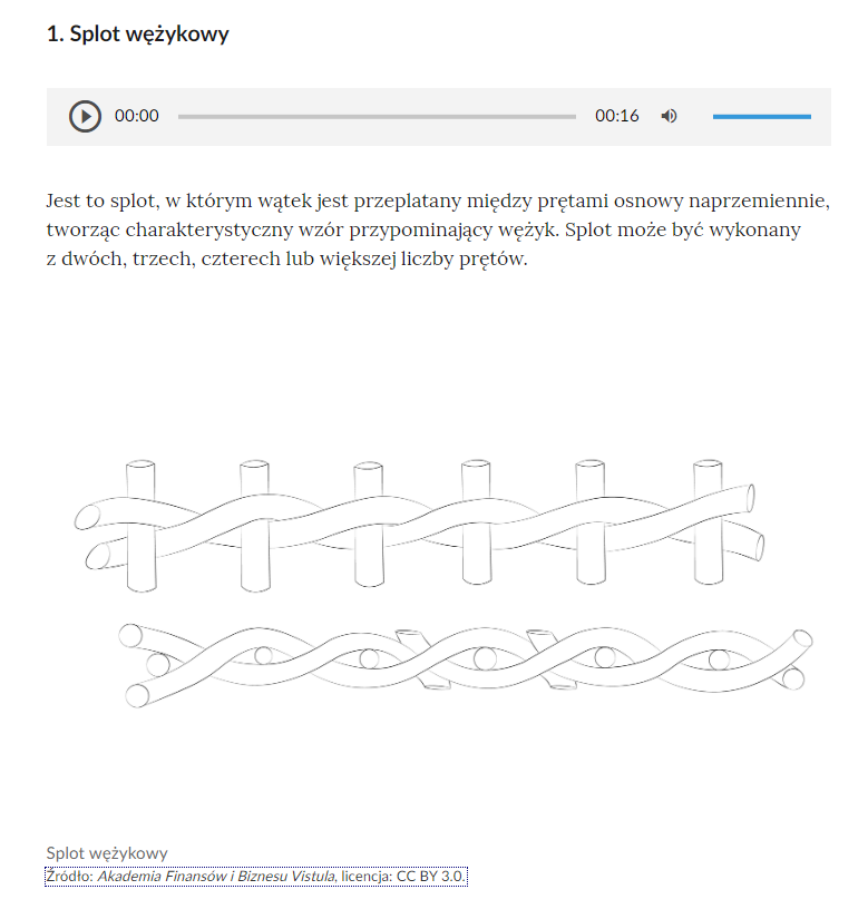 Grafika przedstawia przykładowe zagadnienie z galerii zdjęć. Składa się z tytułu, odtwarzacza audio, informacji tekstowej oraz rysunek splotu wężykowego.

