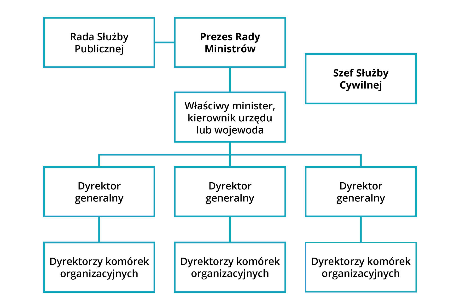 Ilustracja przedstawia schemat dotyczący polskiej Służby Cywilnej. Prezes Rady Ministrów współpracuje z Radą Służby Publicznej. Prezesowi RM podlega właściwy minister, kierownik urzędu lub wojewoda, a im dyrektorzy generalni. Dyrektorzy generalni są z kolei zwierzchnikami dyrektorów komórek organizacyjnych. Niezależnie od Prezesa Rady Ministrów funkcjonuje Szef Służby Cywilnej.