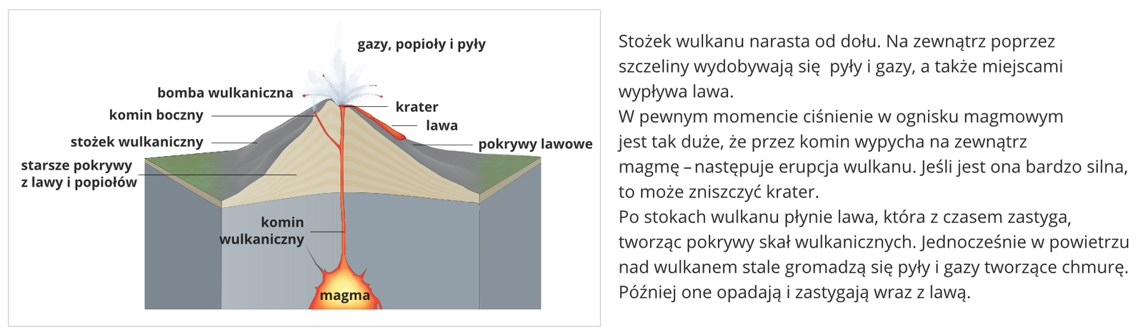 Na ilustracji ukazano schematyczny przekrój wulkanu. Góra wulkanu ma kształt stożka. Na dole schematu skoncentrowana magma, która wąskim kominem wulkanicznym wdziera się na sam szczyt (do krateru). Na zewnątrz poprzez szczeliny wydobywają się gazy, popioły i pyły, miejscami wypływa lawa. Opisane zostały także pozostałe części wulkanu: pokrywy lawowe zaznaczone po zewnętrznej ścianie stożka, starsze pokrywy z lawy i popiołów zaznaczone w środkowej części stożka, komin boczny zaznaczony małym bocznym ujściem od magmy. Obok schematu znajduje się tekst: „Stożek wulkanu narasta od dołu. Na zewnątrz poprzez szczeliny wydobywają się pyły i gazy, a także miejscami wypływa lawa. W pewnym momencie ciśnienie w ognisku magmowym jest tak duże, że przez komin wypycha na zewnątrz magmę – następuje erupcja wulkanu. Jeśli jest ona bardzo silna, to może zniszczyć krater. Po stokach wulkanu płynie lawa, która z czasem zastyga, tworząc pokrywy skał wulkanicznych. Jednocześnie w powietrzu nad wulkanem stale gromadzą się pyły i gazy tworzące chmurę. Później one opadają i zastygają wraz z lawą”.