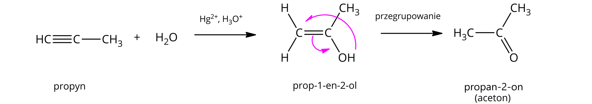 Na ilustracji znajduje się schemat reakcji addycji wody do propynu. Wodór wiązanie pojedyncze węgiel wiązanie potrójne węgiel wiązanie pojedyncze grupa metylowa C H indeks dolny trzy plus cząsteczka wody, strzałka w prawo, nad strzałką zapis: Hg indeks górny plus dwa, H indeks dolny trzy O indeks górny plus, powstaje związek z wiązaniem podwójnym węgiel - węgiel. Do pierwszego atomu węgla dołączone są dwa atomy wodoru za pomocą wiązań pojedynczych. Do drugiego atomu węgla dołączona jest grupa metylowa C H indeks dolny trzy i grupa hydroksylowa. Dodatkowo strzałka od protonu grupy OH do atomu węgla podstawionego dwoma wodorami. Strzałka od wiązania podwójnego do wiązania między węglem a grupą OH. Pod wzorem znajduje się podpis: prop-1-en-2-ol. Strzałka w prawo, podpis przegrupowanie, powstaje związek o wzorze grupa metylowa wiązanie pojedyncze atom węgla związany z kolejną grupą metylową wiązaniem pojedynczym oraz podwójnym z atomem tlenu. Pod wzorem znajduje się podpis: propanon, czyli aceton.