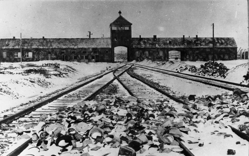 Na zdjęciu przedstawione są tory kolejowe prowadzące do obozu Auschwitz‑Birkenau . Prowadzi do niego kilka równoległych torowisk. Łączą się one w jedno przed bramą wjazdową. Nad bramą znajduje się strażnica, na jej szczycie jest spadzisty dach. Po lewej i prawej stronie bramy znajdują się budynki obozu.