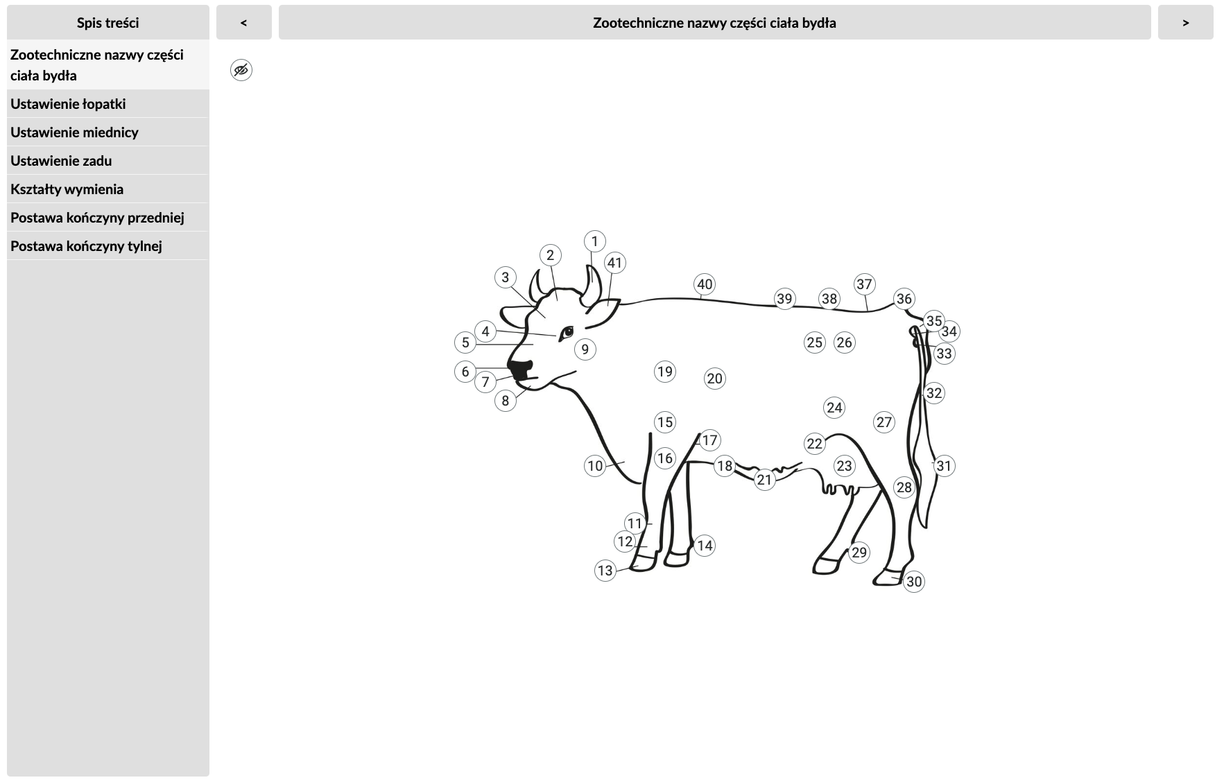 Grafika przedstawia widok atlasu interaktywnego. Po lewej stronie widoczne jest szare pole z listą ilustracji, które przedstawiają części ciała bydła. Na środku atlasu widnieje grafika przedstawiająca krowę. Na samej górze umieszczone są pasek z tytułem wyświetlanej ilustracji oraz strzałki do przełączania prawo/lewo.