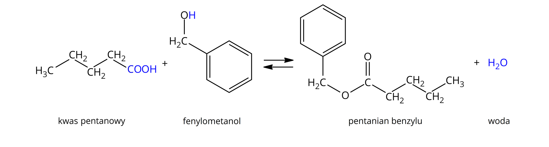 Ilustracja przedstawia następujące równanie reakcji otrzymywania n‑pentanianu benzylu. Cząsteczka kwasu pentanowego zbudowanego z grupy karboksylowej COOH połączonej z trzema kolejno związanymi ze sobą grupami CH2, z których ostatnia łączy się grupą metylową CH3, kończąc łańcuch. Dodać cząsteczka fenylometanolu, czyli alkoholu benzylowego zbudowanego z grupy hydroksylowej OH połączonej z grupą metylenową CH2 podstawiona pierścieniem fenylowym, to jest sześcioczłonowym pierścieniem aromatycznym o wzorze sumarycznym C6H5. Strzałki równowagowe, za strzałkami cząsteczka pentanianu benzylu zbudowanego z pierścienia fenylowego połączonego z grupą metylenową CH2 związaną z atomem tlenu, który to łączy się z atomem węgla połączonym za pomocą wiązania podwójnego z atomem tlenu oraz za pomocą wiązania pojedynczego z trzema kolejno związanymi ze sobą grupami CH2, z których ostatnia podstawiona jest grupą metylową CH3. Dodać cząsteczkę wody.
