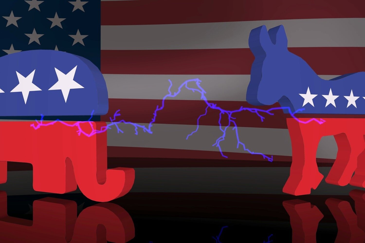 Ilustracja przedstawia w tle flagę Stanów Zjednoczonych, przed którą ustawione są dwie figurki: słonia i osła – logo amerykańskich partii. Zwierzęta mają kolory flagi amerykańskiej. W środku widoczna jest rozgałęziająca się w różnych kierunkach fioletowa linia.