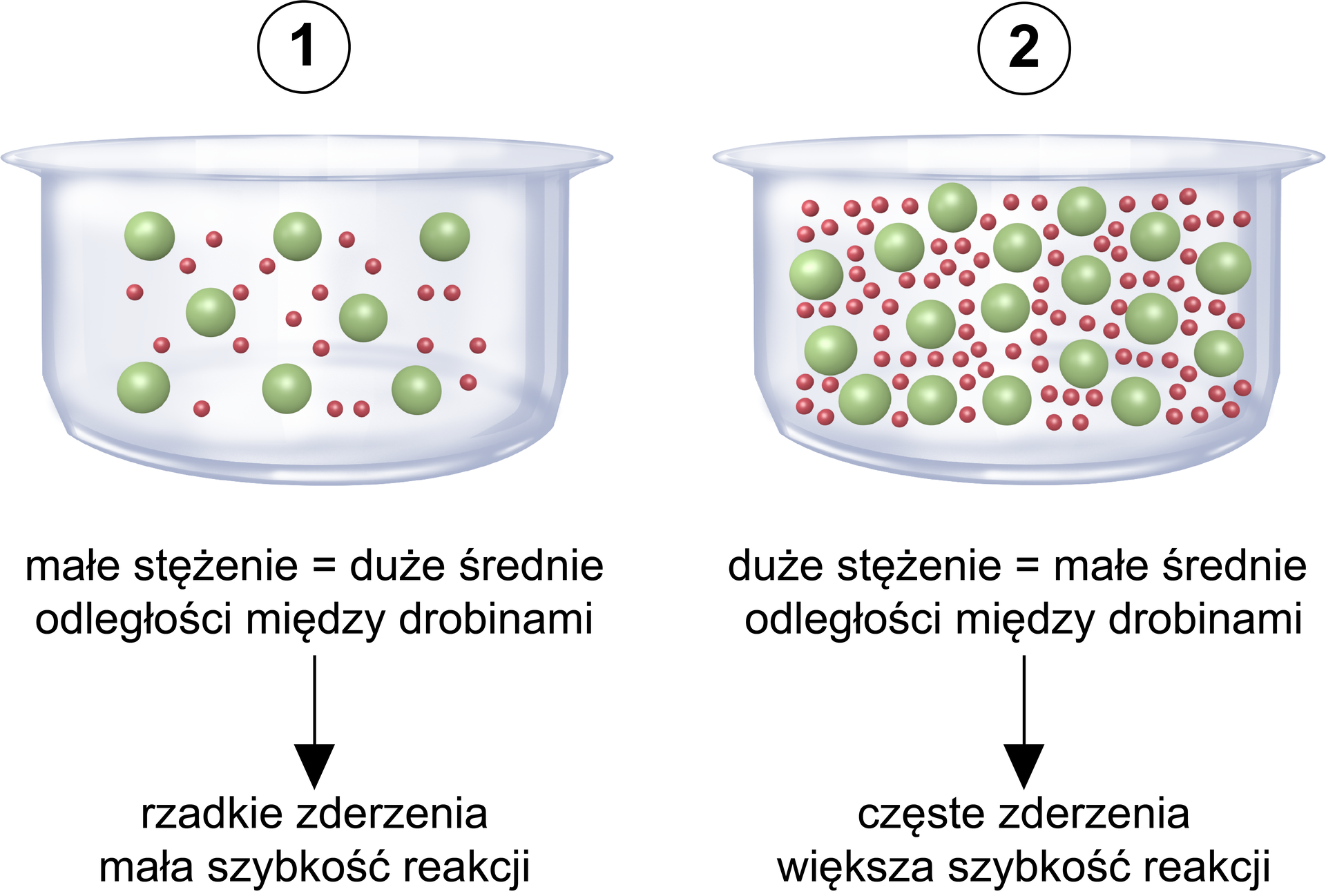 Ilustracja przedstawiająca dwa naczynia. W pierwszym znajdują się luźno rozmieszczone większe zielone kulki i mniejsze czerwone. Małe stężenie równa się duże średnie odległości między drobinami, z czego wynikają rzadkie zderzenia i mała szybkość reakcji. W drugim naczyniu znajdują się rozmieszczone bardzo blisko siebie większe zielone kulki i mniejsze czerwone. Duże stężenie równa się małe średnie odległości między drobinami, z czego wynikają częste zderzenia i większa szybkość reakcji.