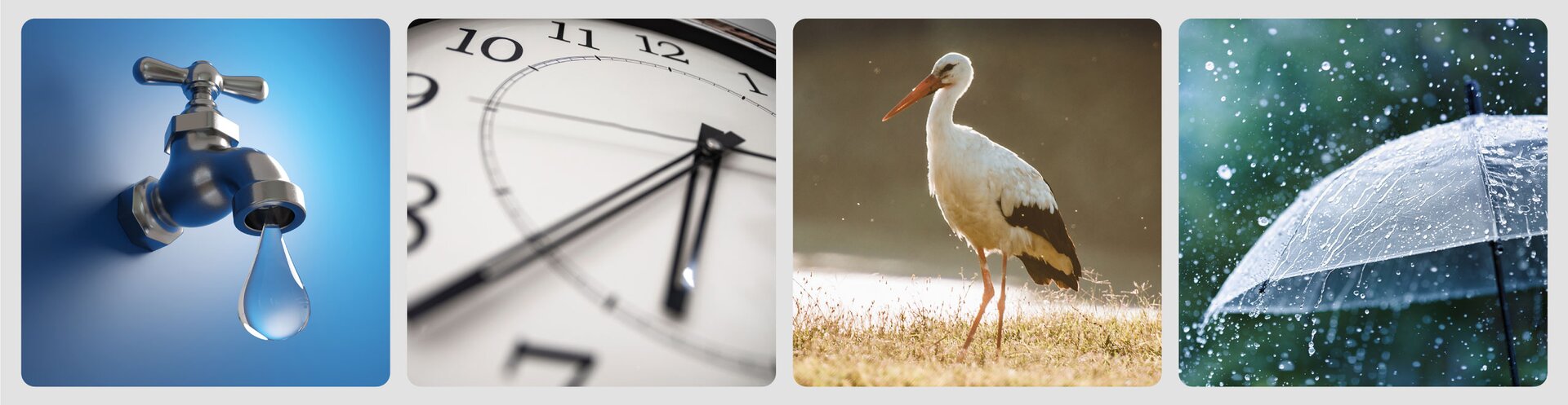 Ilustracja przedstawia cztery karty z obrazkami. Kolejno jest to kran z wisząca z niego kroplą wody, zegar ścienny, bocian i krople deszczu obijające się o parasol.