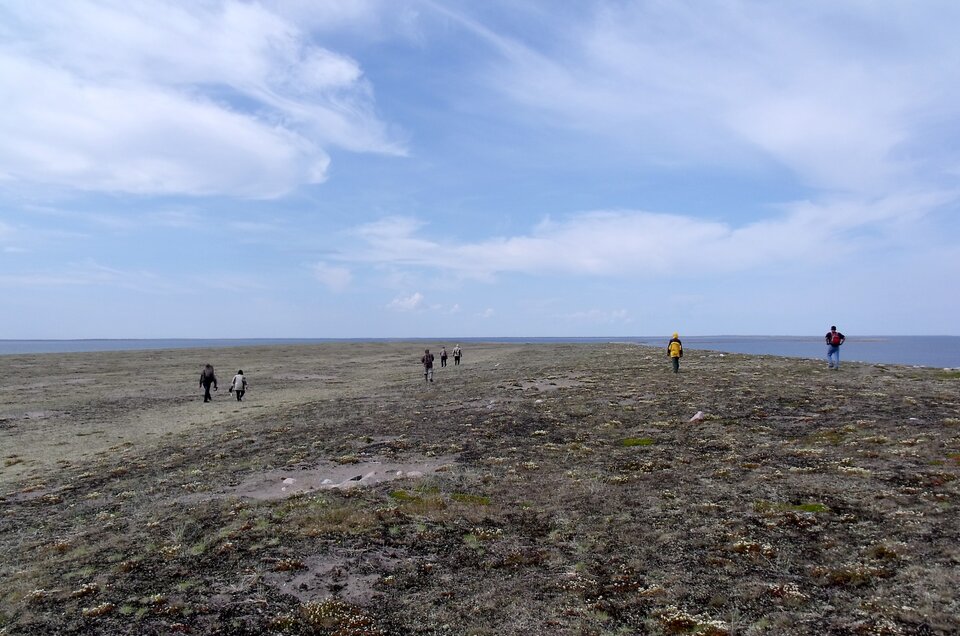 Zdjęcie przedstawia tundrę porostową. Na płaskim terenie rośnie niska roślinność. Po terenie spaceruje kilka osób. Po prawej stronie jest zbiornik wodny. 