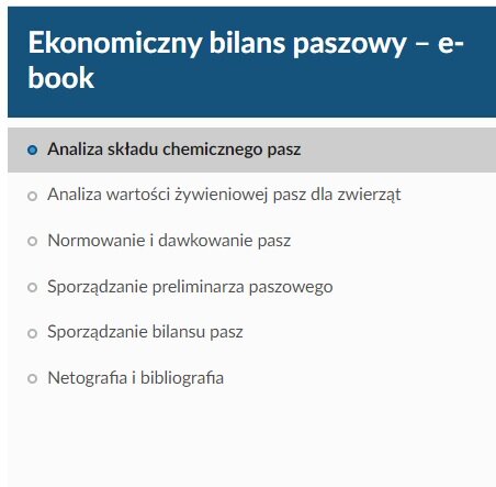 Zdjęcie przedstawia przykładowy spis treści e‑booka. Na górze znajduje się tytuł e‑booka. Poniżej tytułu sześć rozdziałów z tytułami. Aktualnie wybrany rozdział jest zaznaczony niebieska kropką i podświetlony szarym kolorem.