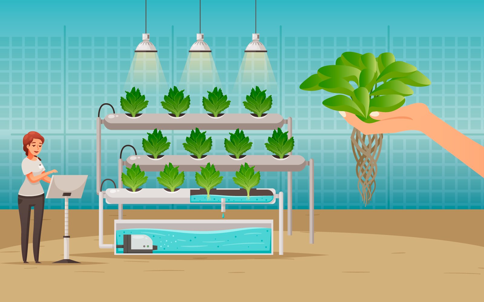 Ilustracja przedstawia wnętrze laboratorium, w którym znajdują się belki z roślinami ustawione jedna nad drugą. Nad górną belką ukazane są trzy lampy emitujące żółte światło. Pierwsza belka od dołu jest w połowie ukazana w przekroju, na którym zaprezentowano , że belki wypełnione są wodą. Pod ostatnią belką znajduje się szklane naczynie z wodą i urządzeniem w środku. Do naczynia przytwierdzone są rury odprowadzające wodę do belek. Po lewej stronie grafiki stoi kobieta przy pulpicie. Po prawej jest umiejscowiona ręka, która trzyma jedną roślinę w dłoni. 