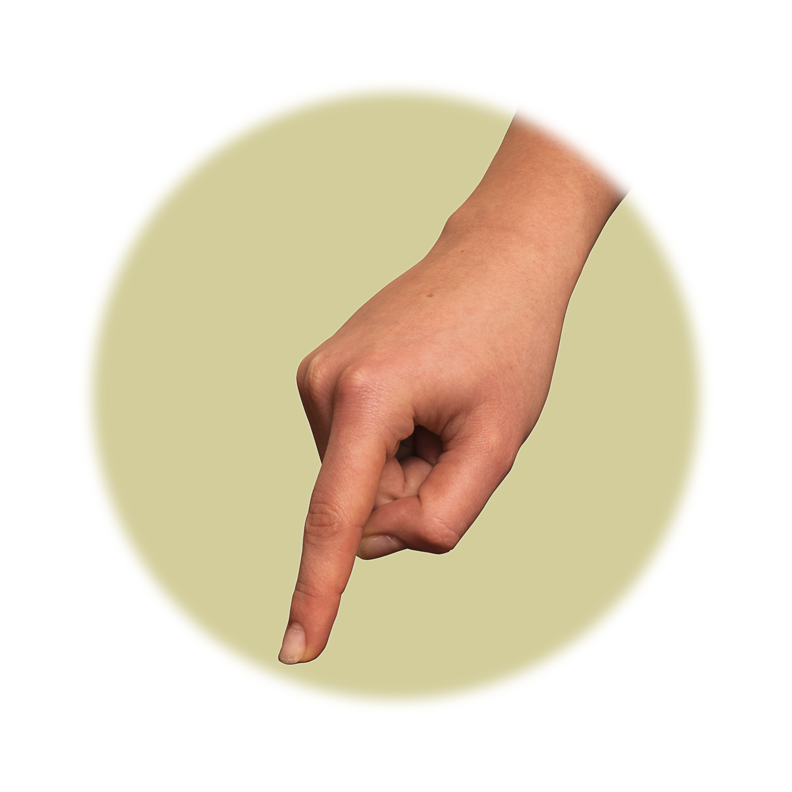 Fotografia przedstawia zbliżenie ludzkiej dłoni zaciśniętej w pięść i z wystawionym palcem wskazującym. Całe ciało człowieka okryte jest skórą będącą narządem dotyku. Pozwala ona, między innymi, na odbieranie wrażenia ciepła, zimna i bólu.