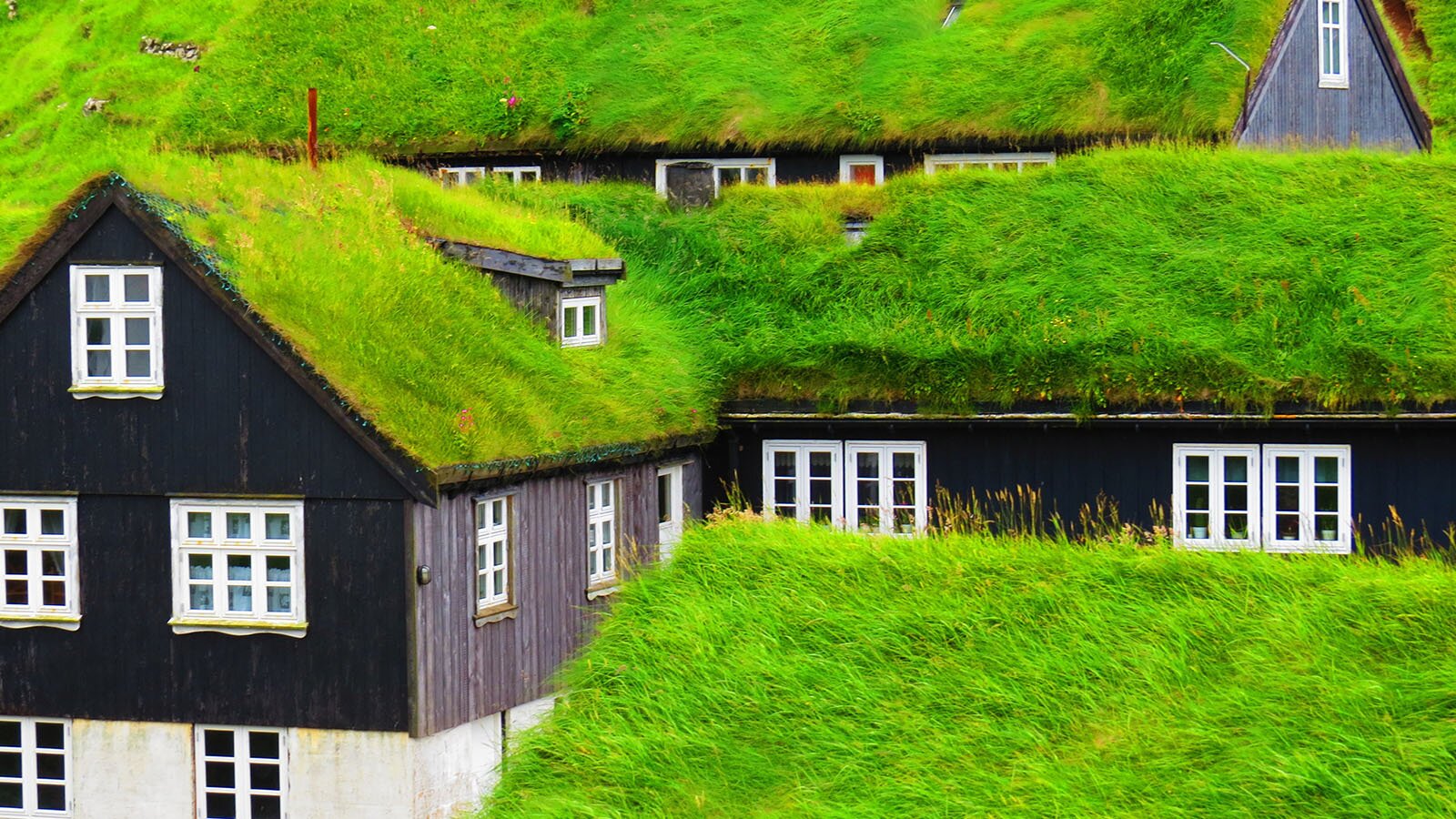 Zdjęcie przedstawia jednopiętrowy dom, którego dach porasta trawa. Elewacja budynku wykonana jest z drewna, a okna pomalowano na biało.