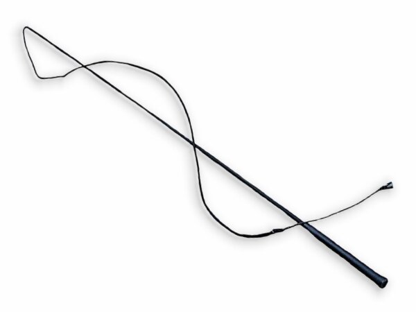 Grafika przedstawia bat do lonżowania. Bat składa się z długiego i cienkiego trzonka, który z jednej strony zakończony jest rączką, natomiast z drugiej grubo splecionym sznurkiem. 
Szczegółowy opis uzupełniający zdjęcie znajduje się w treści definicji.