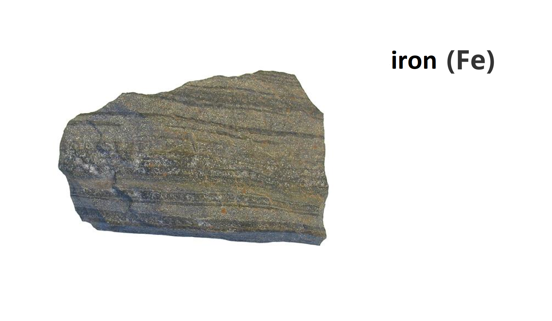 What kind of common features can you notice? The photograph shows an iron.