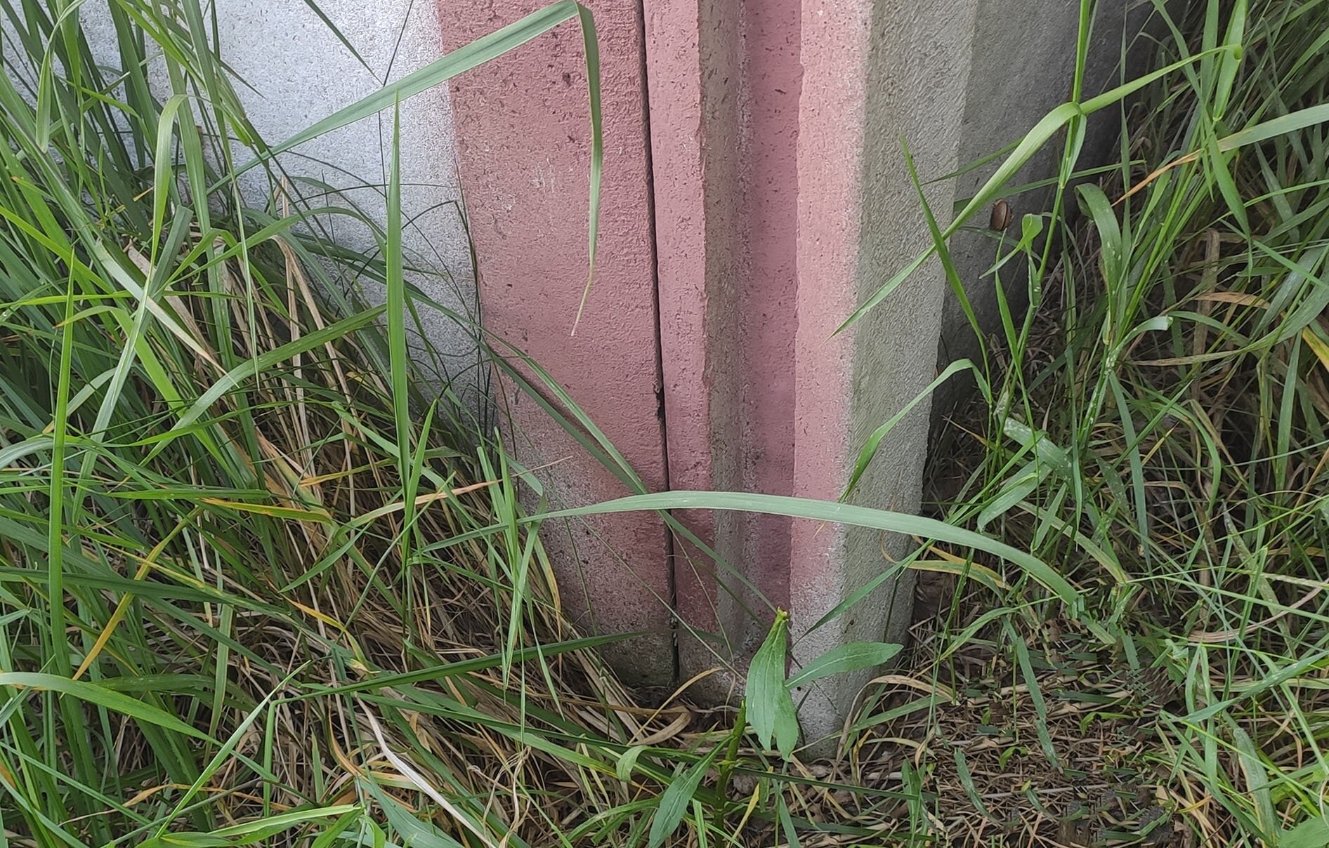 Na zdjęciu przedstawiono fragment betonowego  ogrodzenia. Część narożną ogrodzenia pomalowano wyróżniającym się kolorem, co oznacza, że ta część ogrodzenia pełni funkcję stabilizacji punktu granicznego.