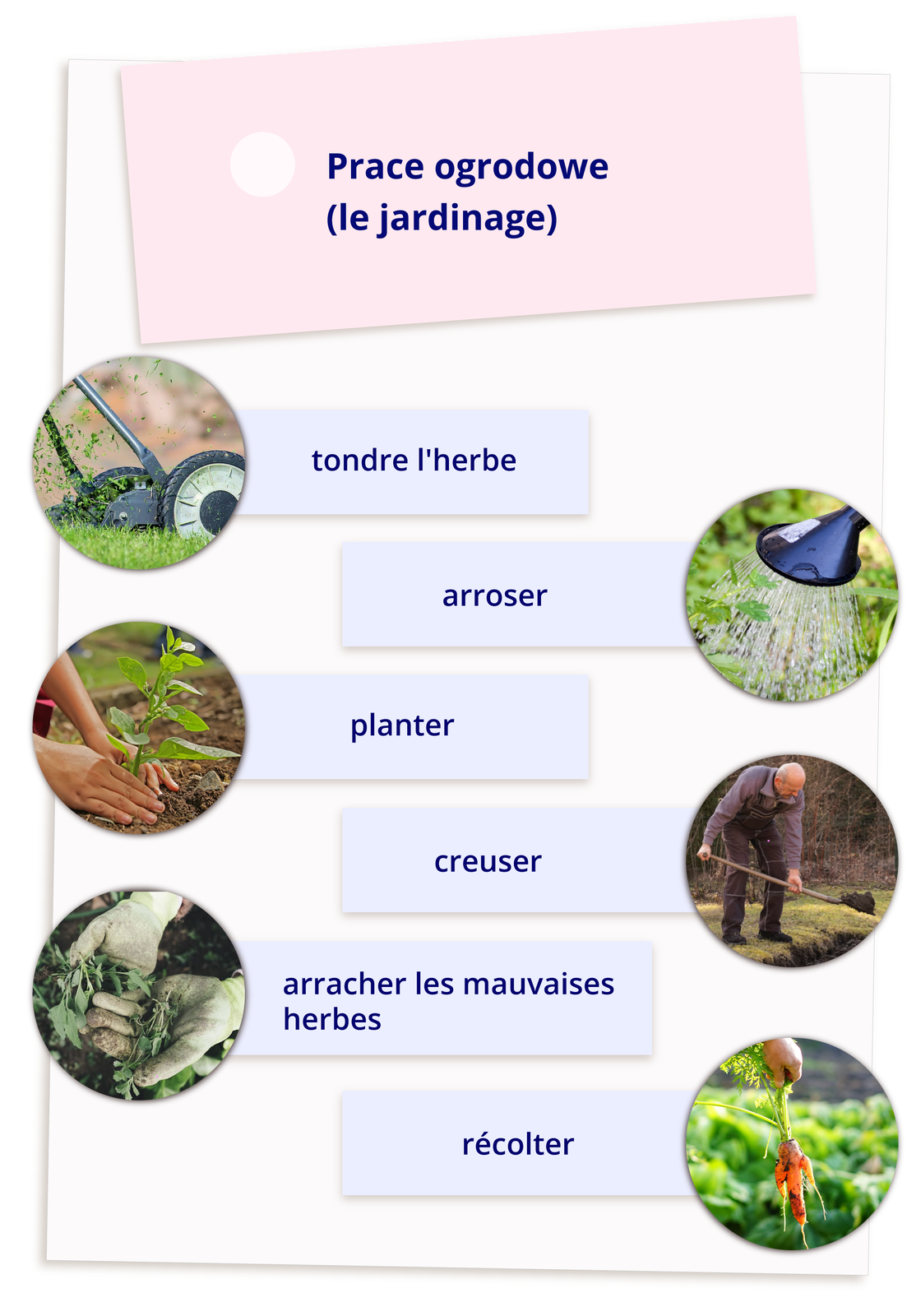 Ilustracja zatytułowana Prace ogrodowe (le jardinage) zawiera sześć zdjęć z podpisami. Kolejno: koszenie trawy - tondre l`herbe; podlewanie - arroser; sadzenie - planter; kopanie - creuser; wyrywanie chwastów - arracher les mauvaises herbes; zbieranie plonów - récolter. 