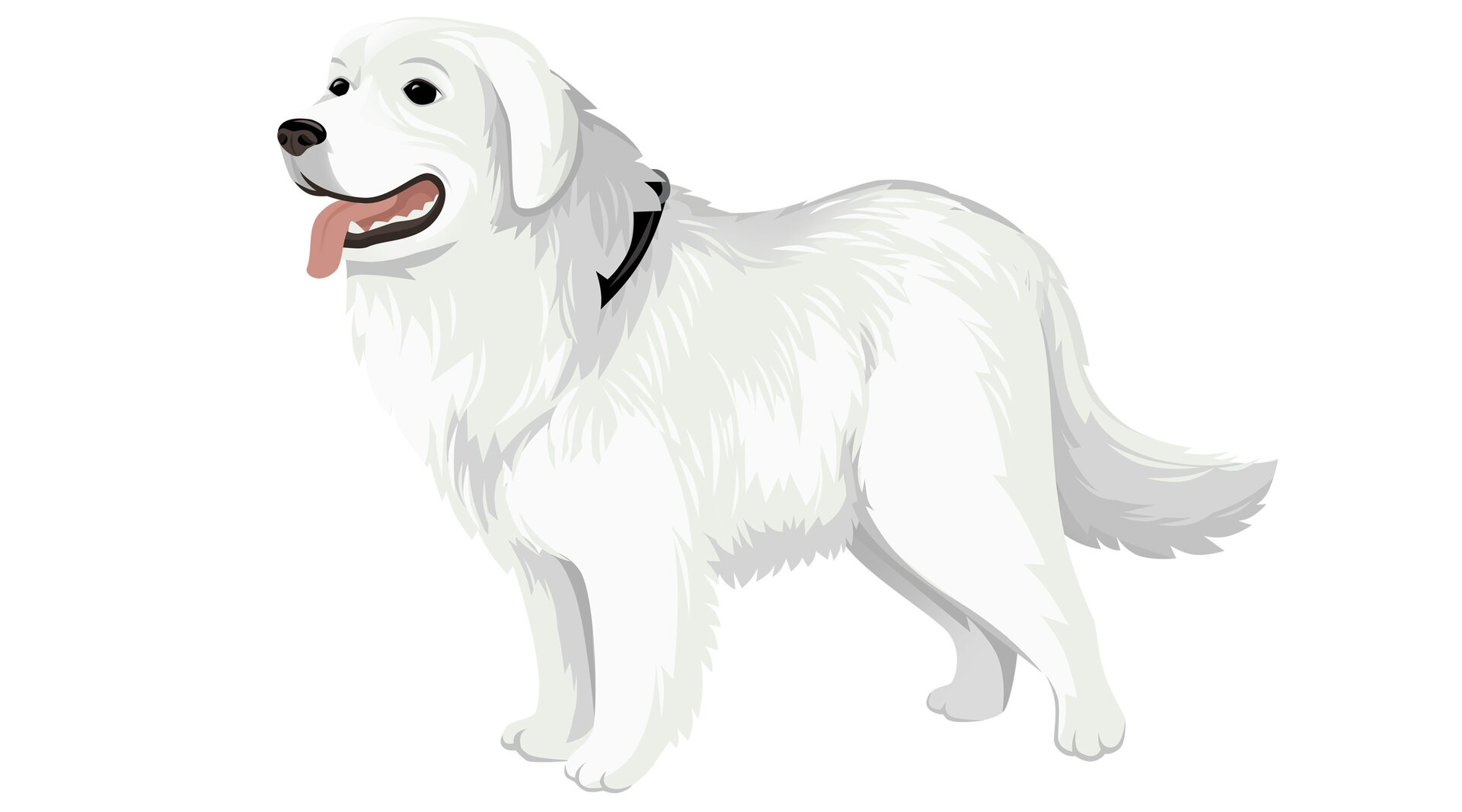 Na ilustracji znajduje się biały pies.