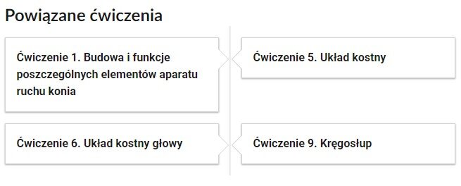 Grafika przedstawia przykładowe przyciski powiązanych ćwiczeń z danym multimedium. Tytuł, powiązane ćwiczenia. Cztery pola. Ćwiczenie pierwsze: Budowa i funkcje poszczególnych elementów aparatu ruchu konia. Ćwiczenie Piąte. Układ kostny. Ćwiczenie Szóste. Układ kostny głowy. Ćwiczenie Dziewiąte. Kręgosłup.