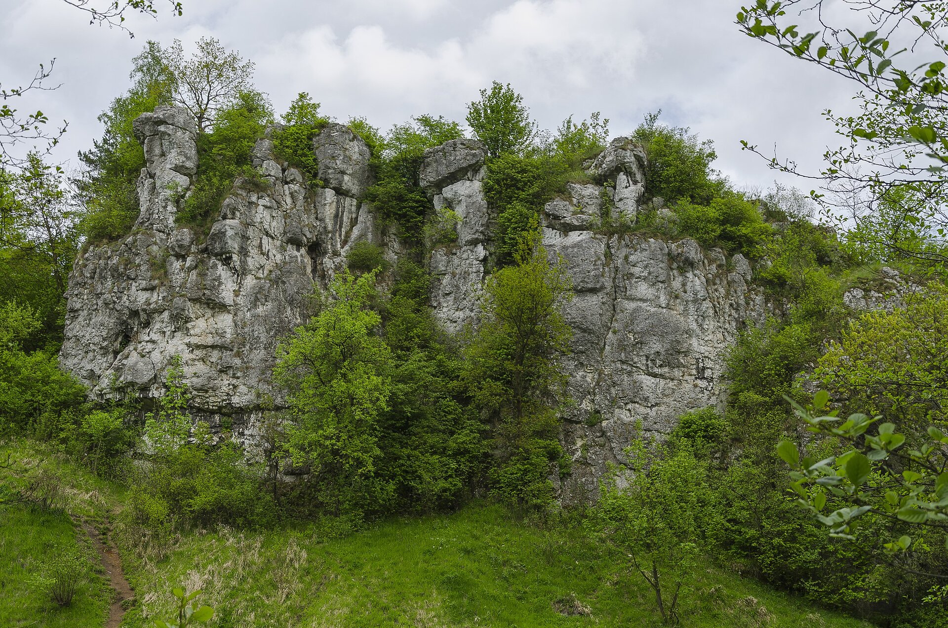 Fotografia skał wapiennych. Skały o niemal pionowych ścianach, tworzonych przez szare, spękane skały kilkunastometrowej wysokości. U podnóża skały teren porośnięty trawą i drzewami. Na górze skał również rosną niewielkie drzewa.